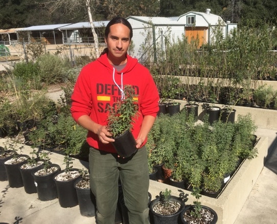 Nick Hummingbird wears his philosophy," Defend The Sacred". His plants on Armstrong are living testimony to this motto.