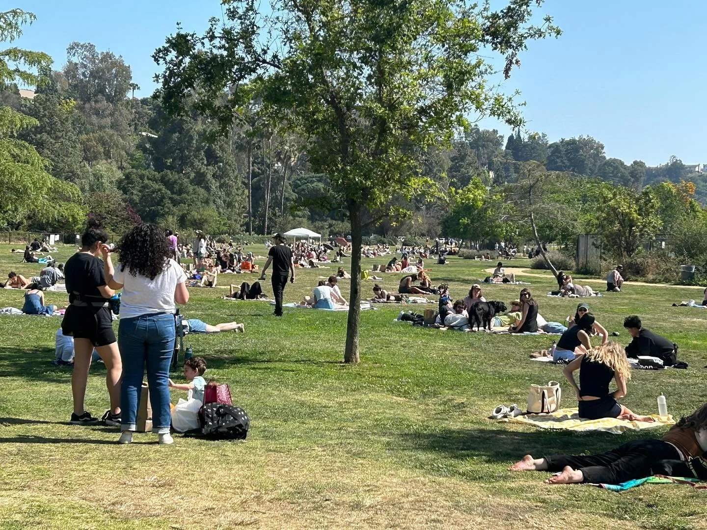#memorialday #silverlake #silverlakereservoir #silverlakemeadow