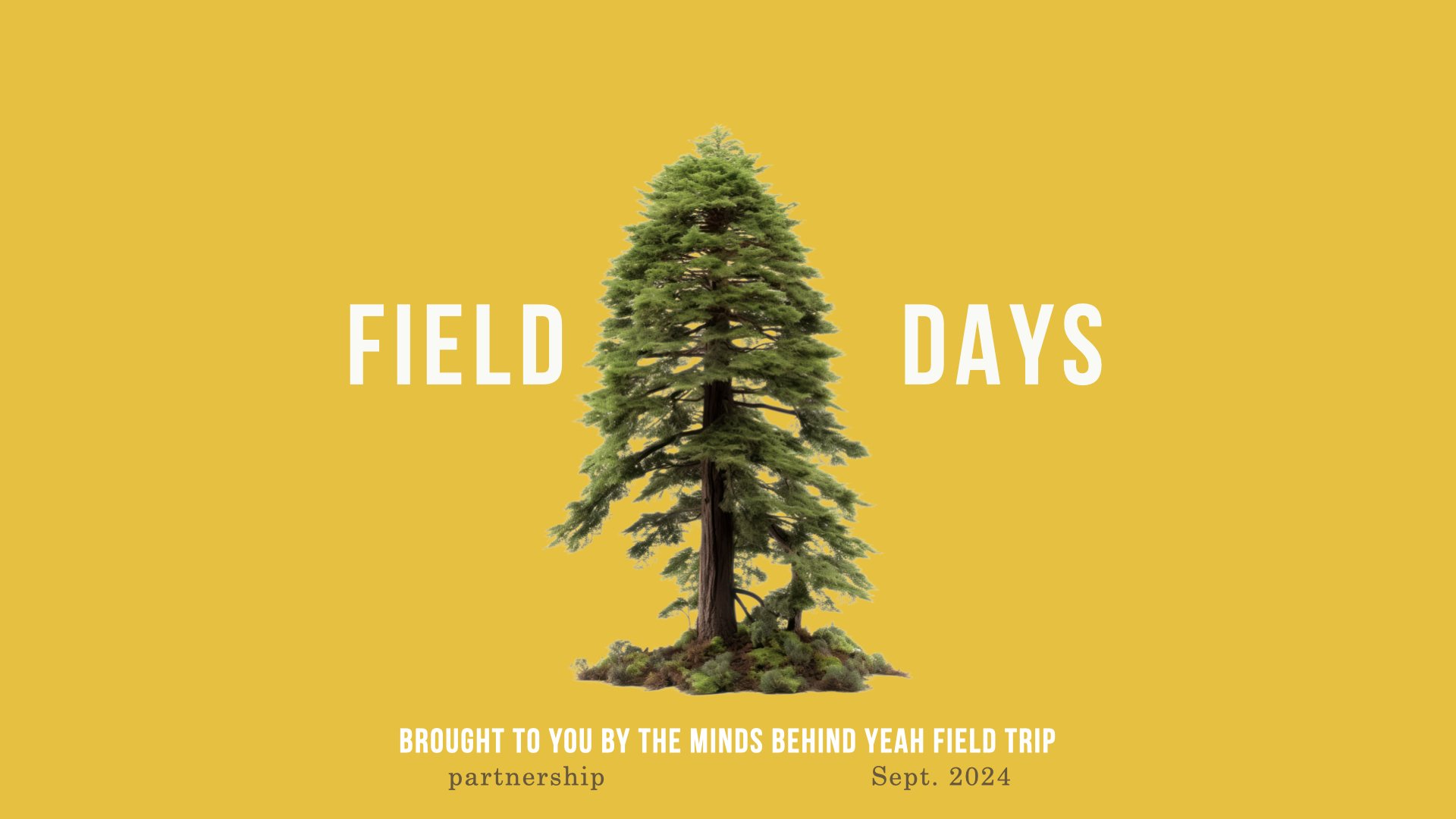 Field Days Westwind Deck.001.jpeg