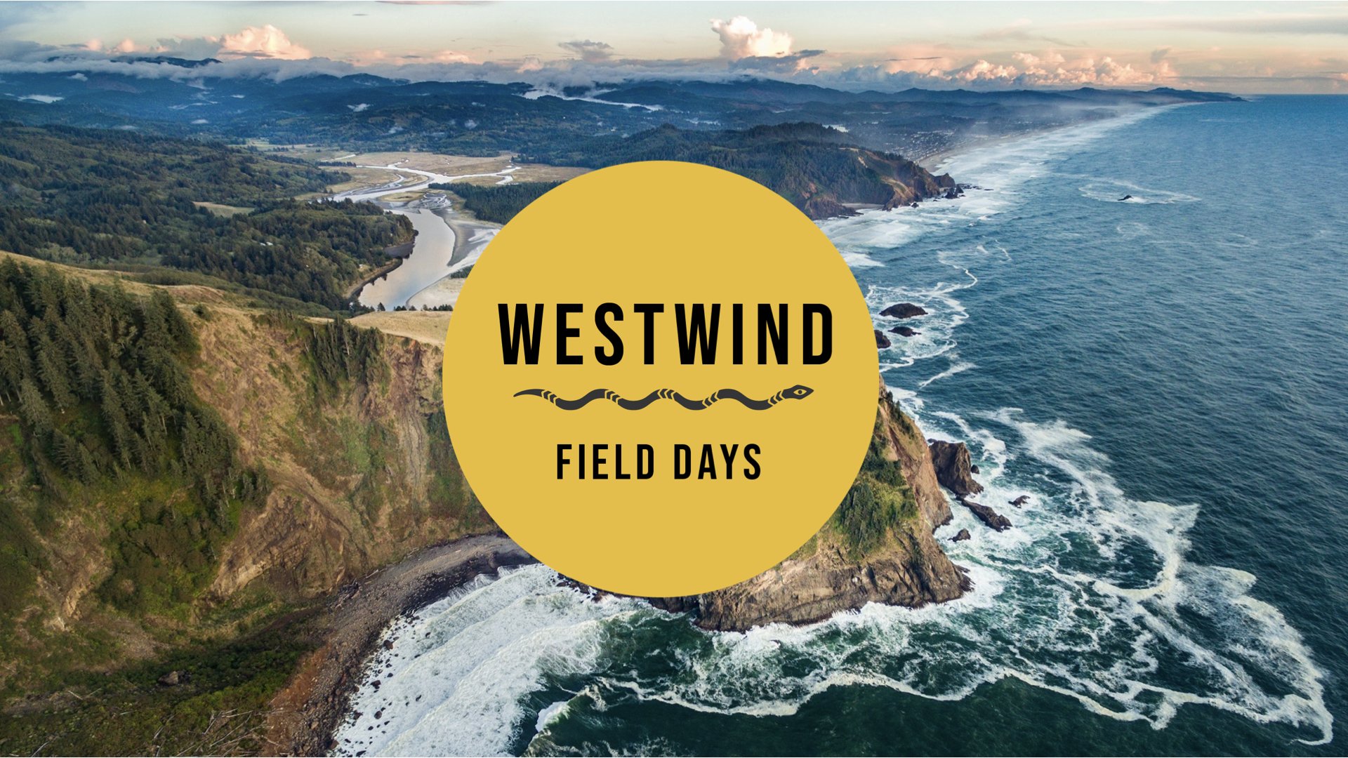 Field Days Westwind Deck.005.jpeg