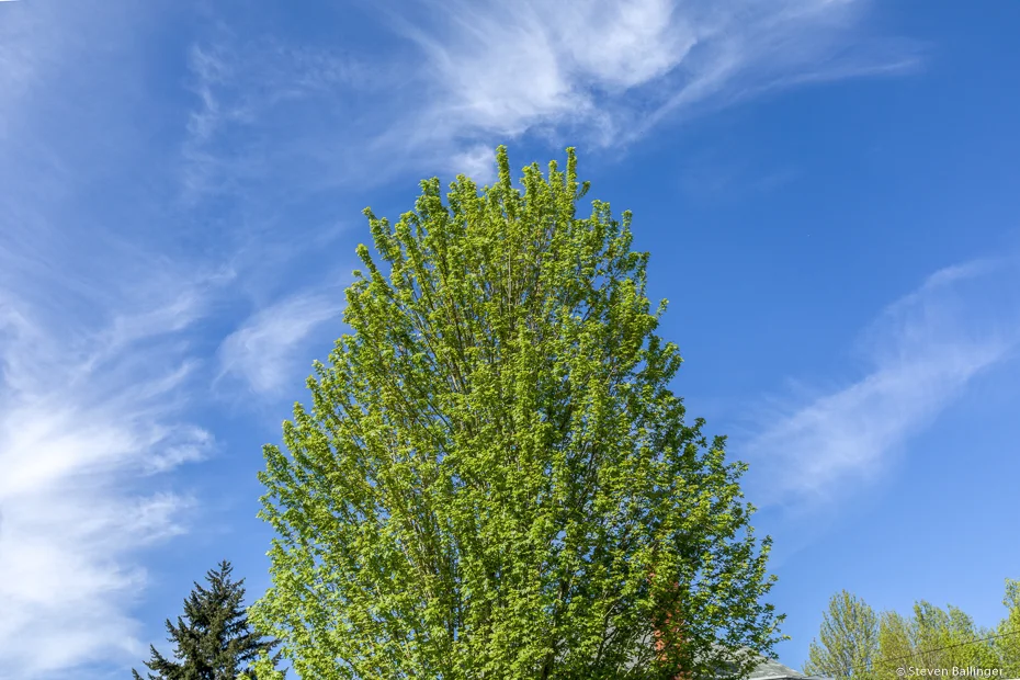 20180502_PDX_188-2.jpg