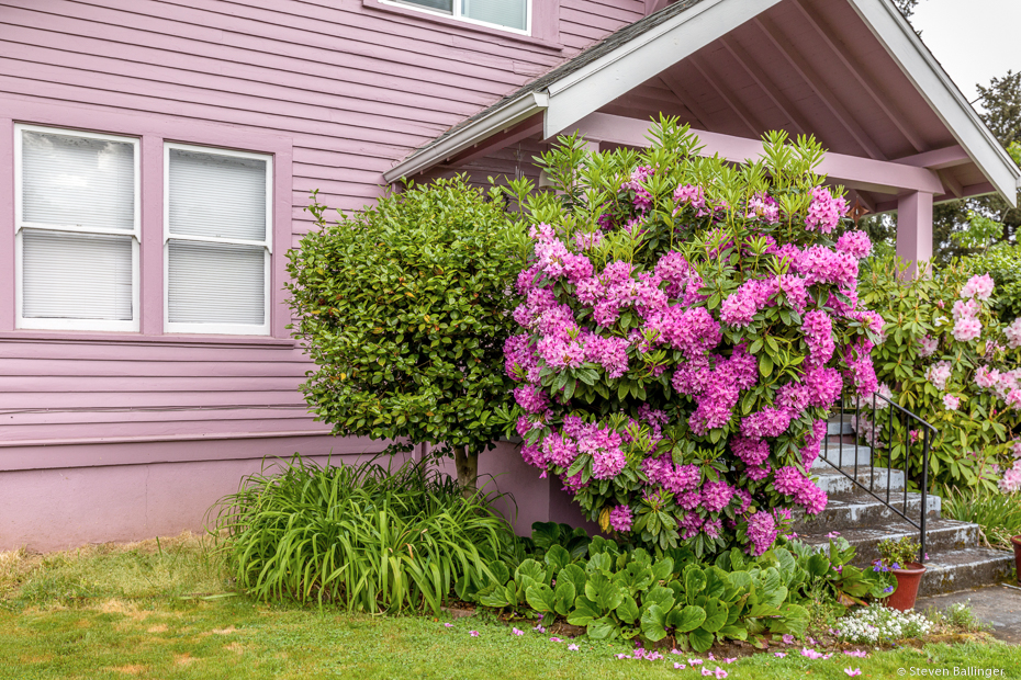 20180510_PDX_004web.jpg