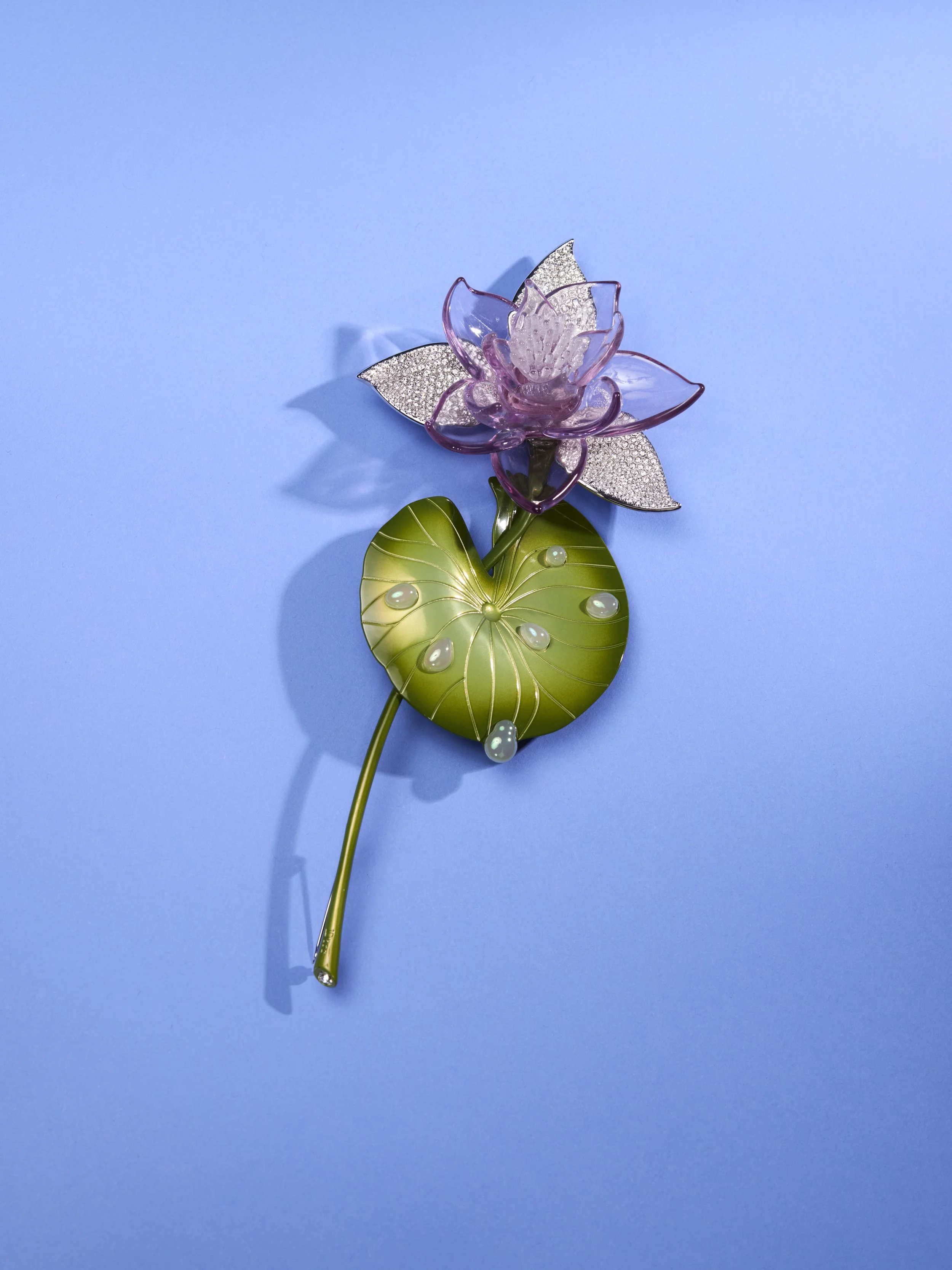 AccessoriesAug3149265.jpg