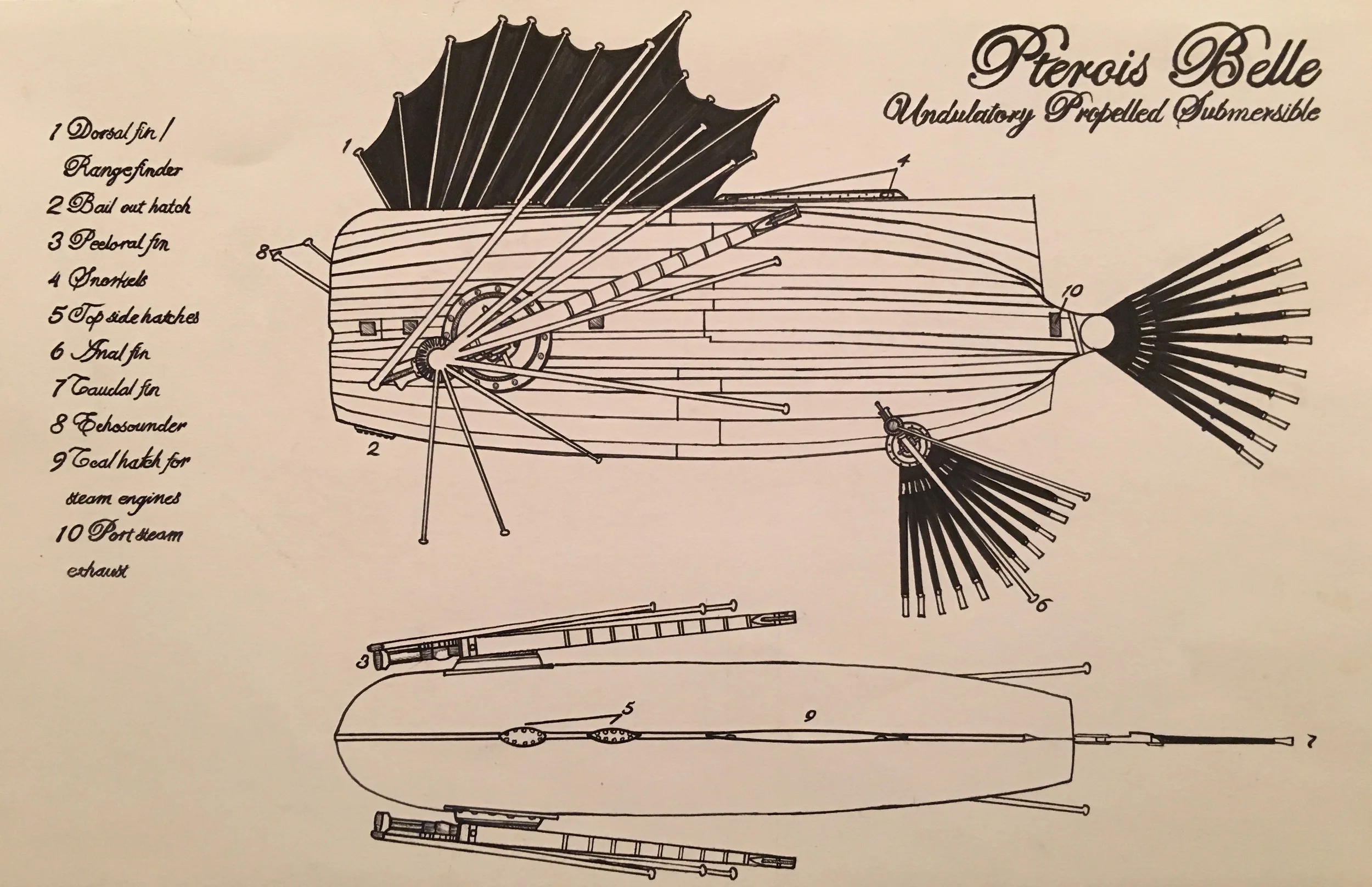Pterois Belle Steampunk
