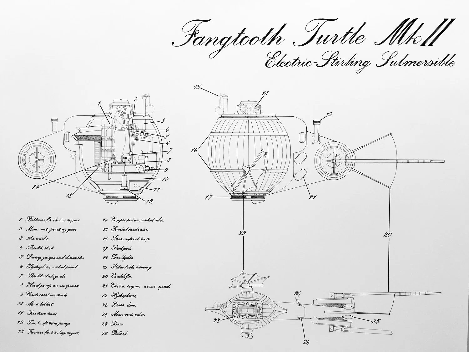 Fangtooth Turtle MK2.JPG