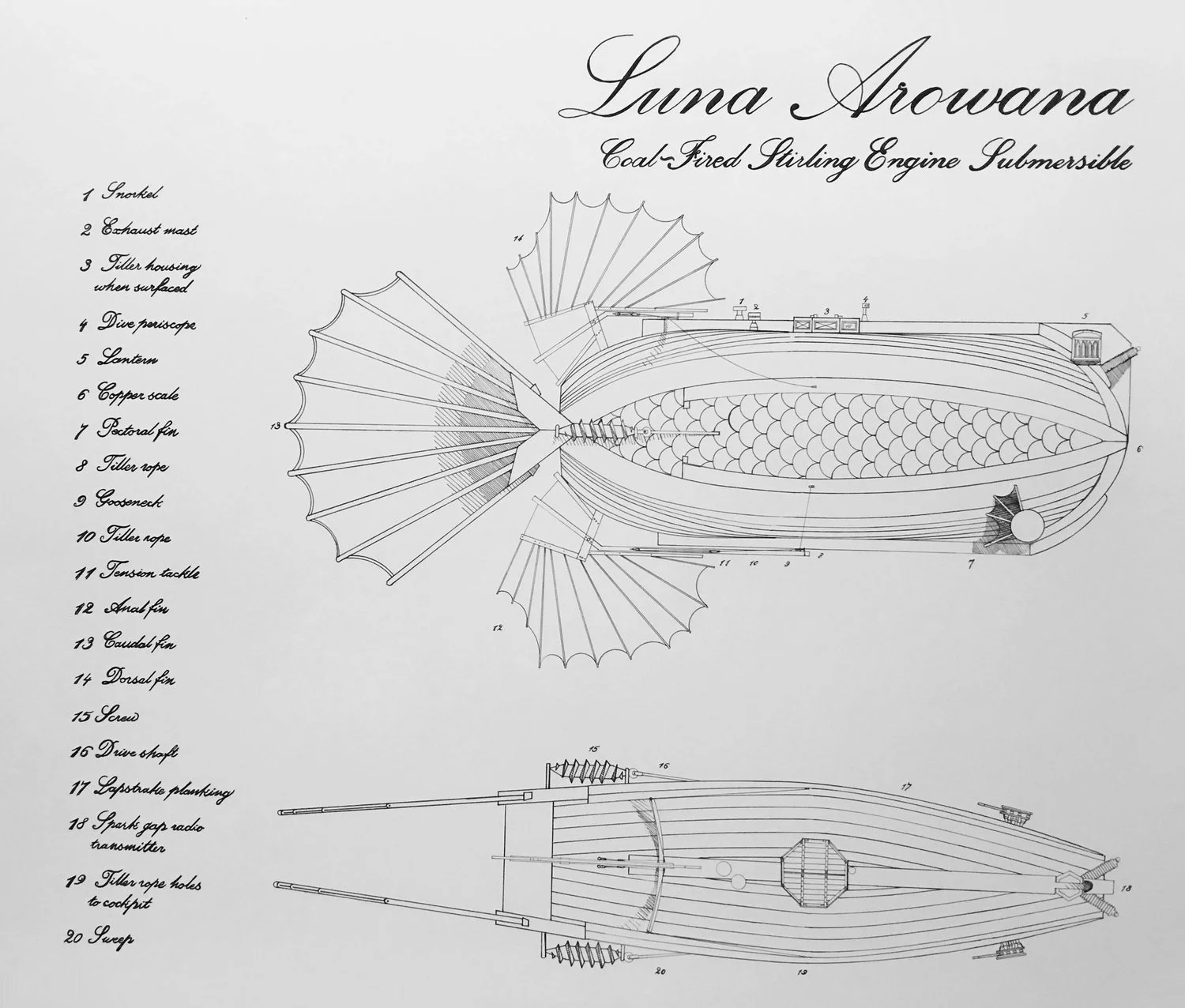 Luna Arowana.JPG