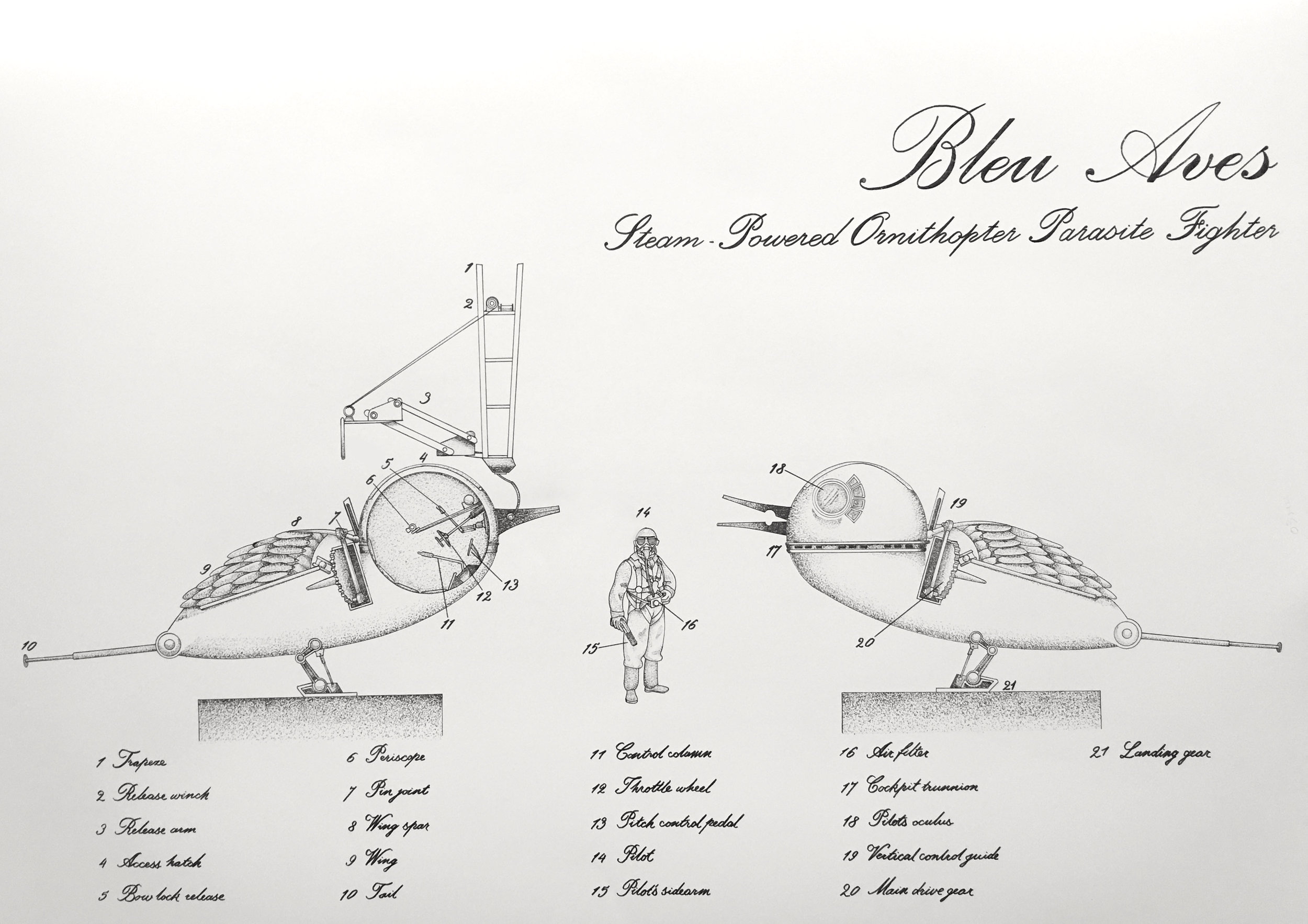 Bleu Aves.jpg