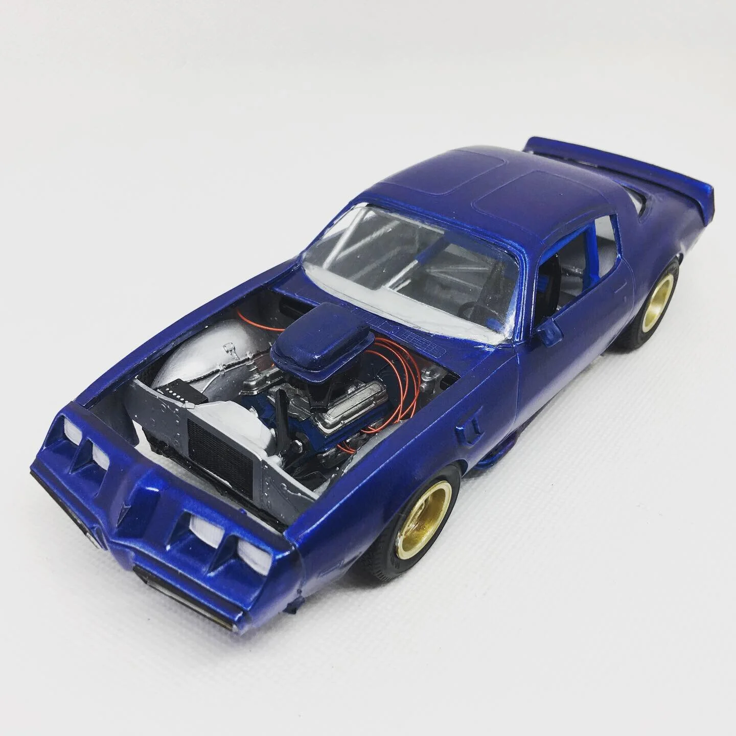 IGHF0529.JPG