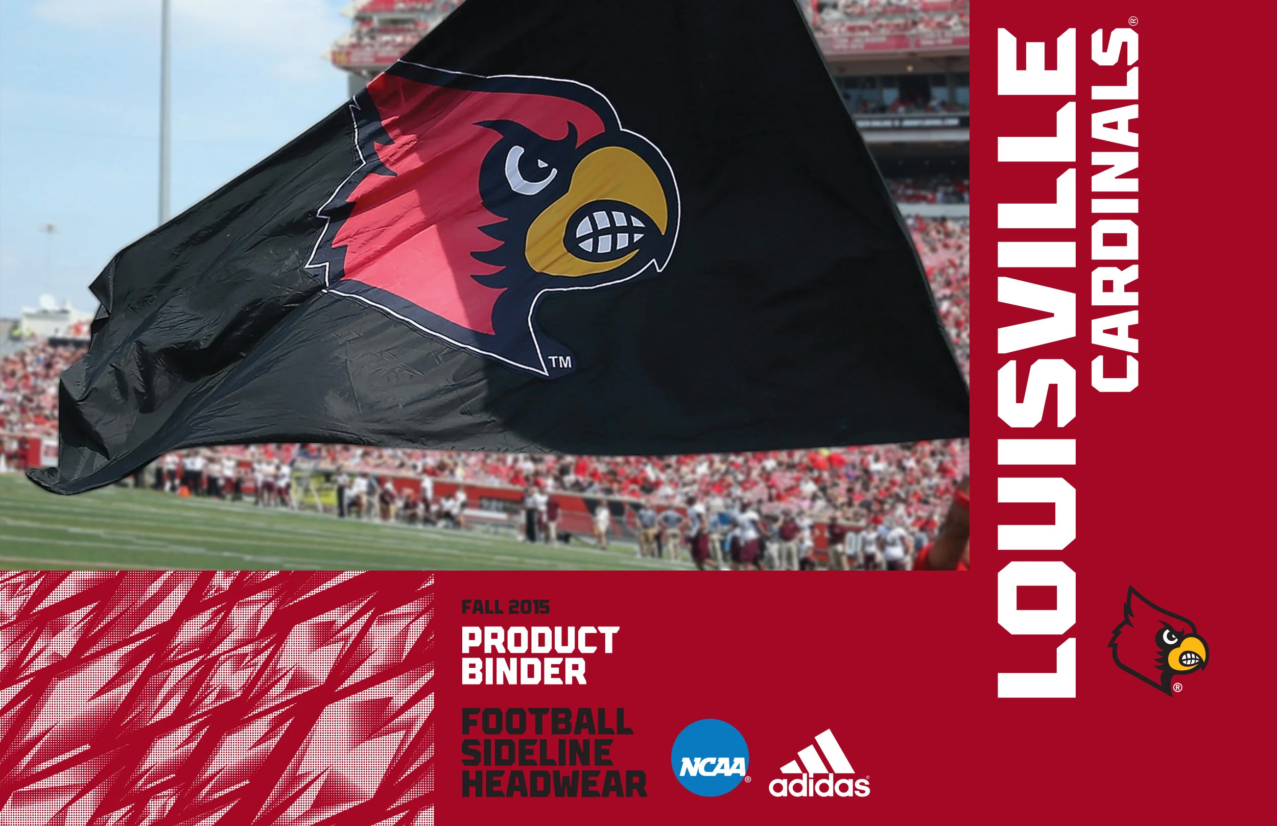 LPM_Sideline_LOU_2015-1.jpg