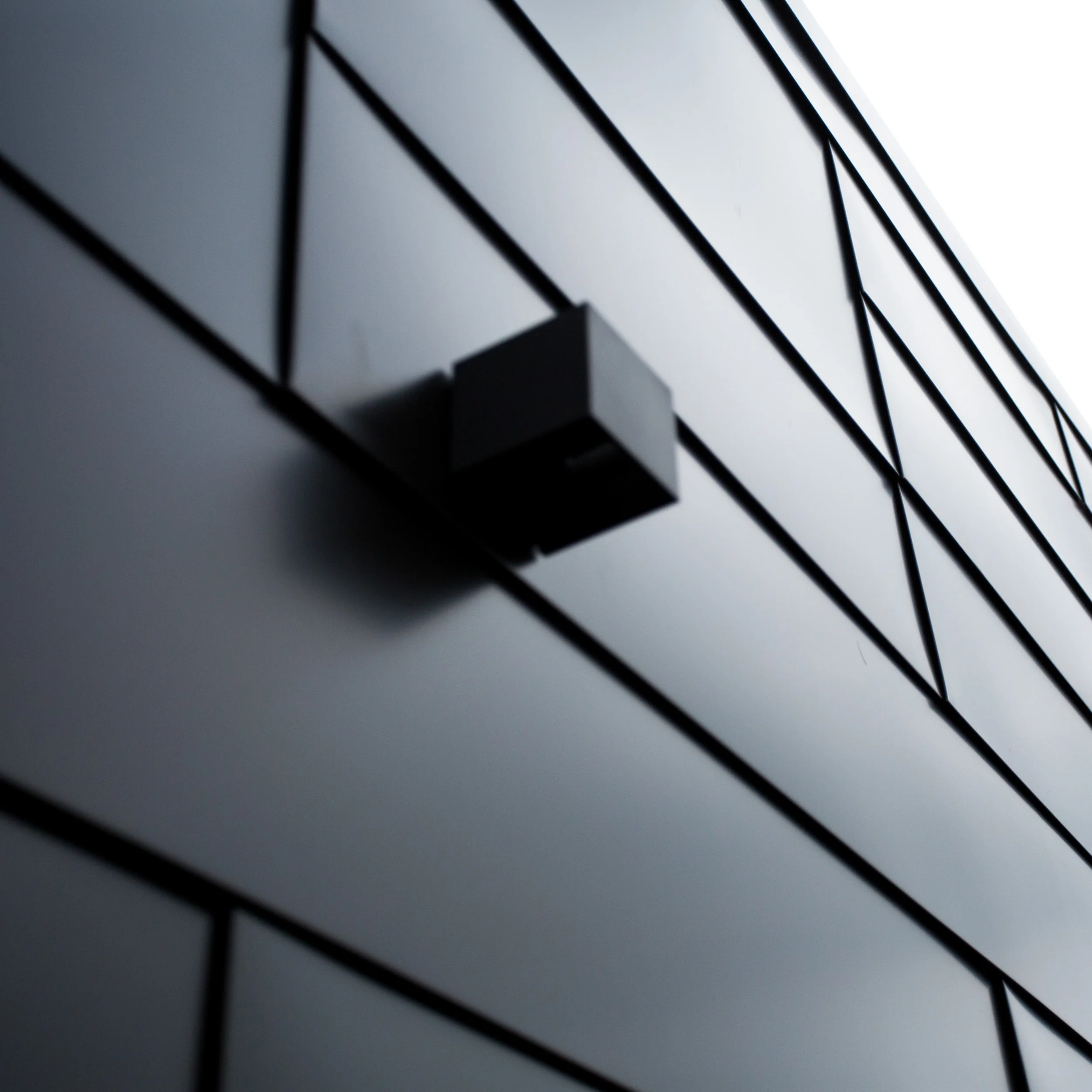 THB Details Cropped-12.jpg