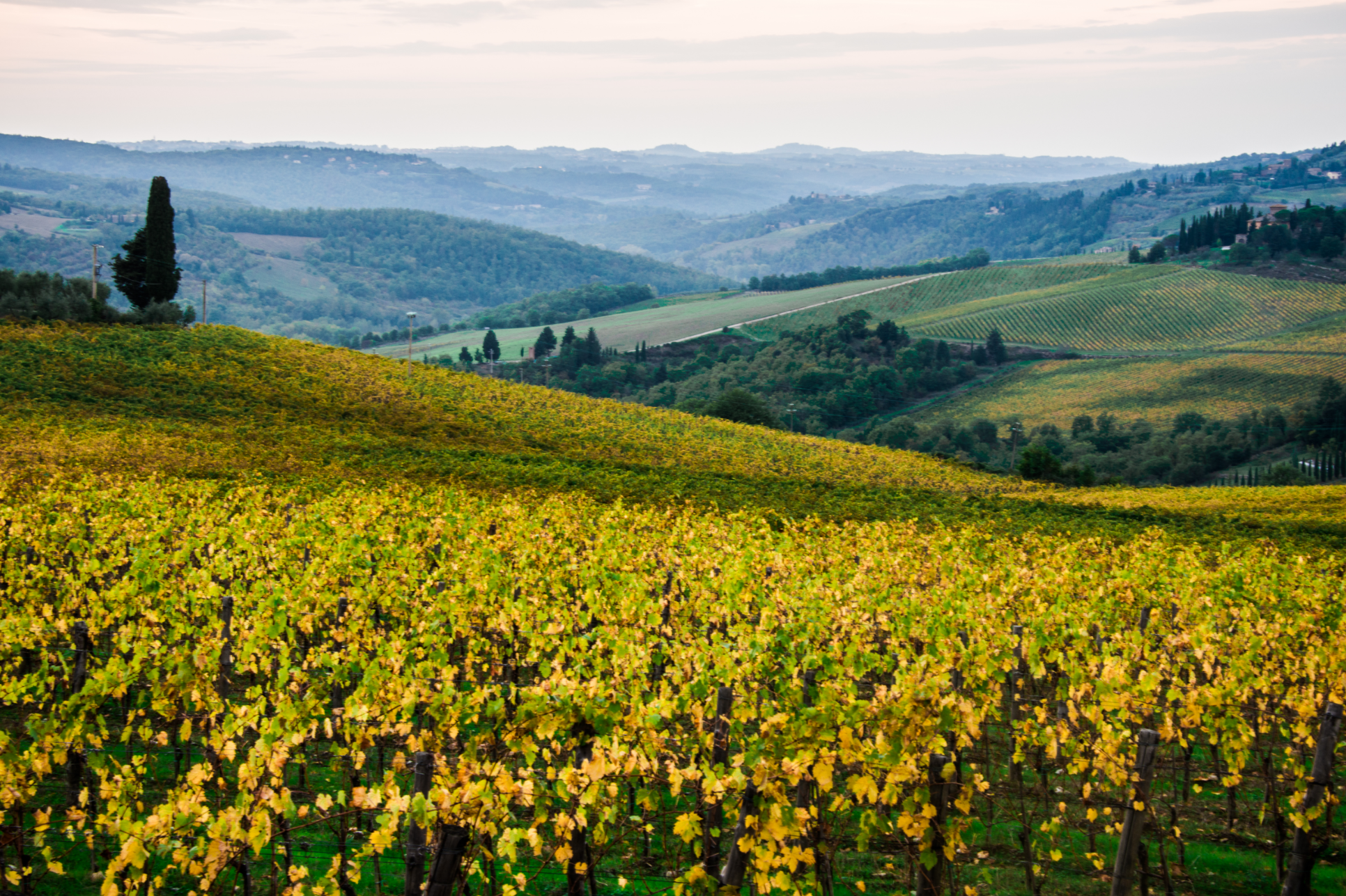 Information Session: Italian for Travelers and Italian Basics