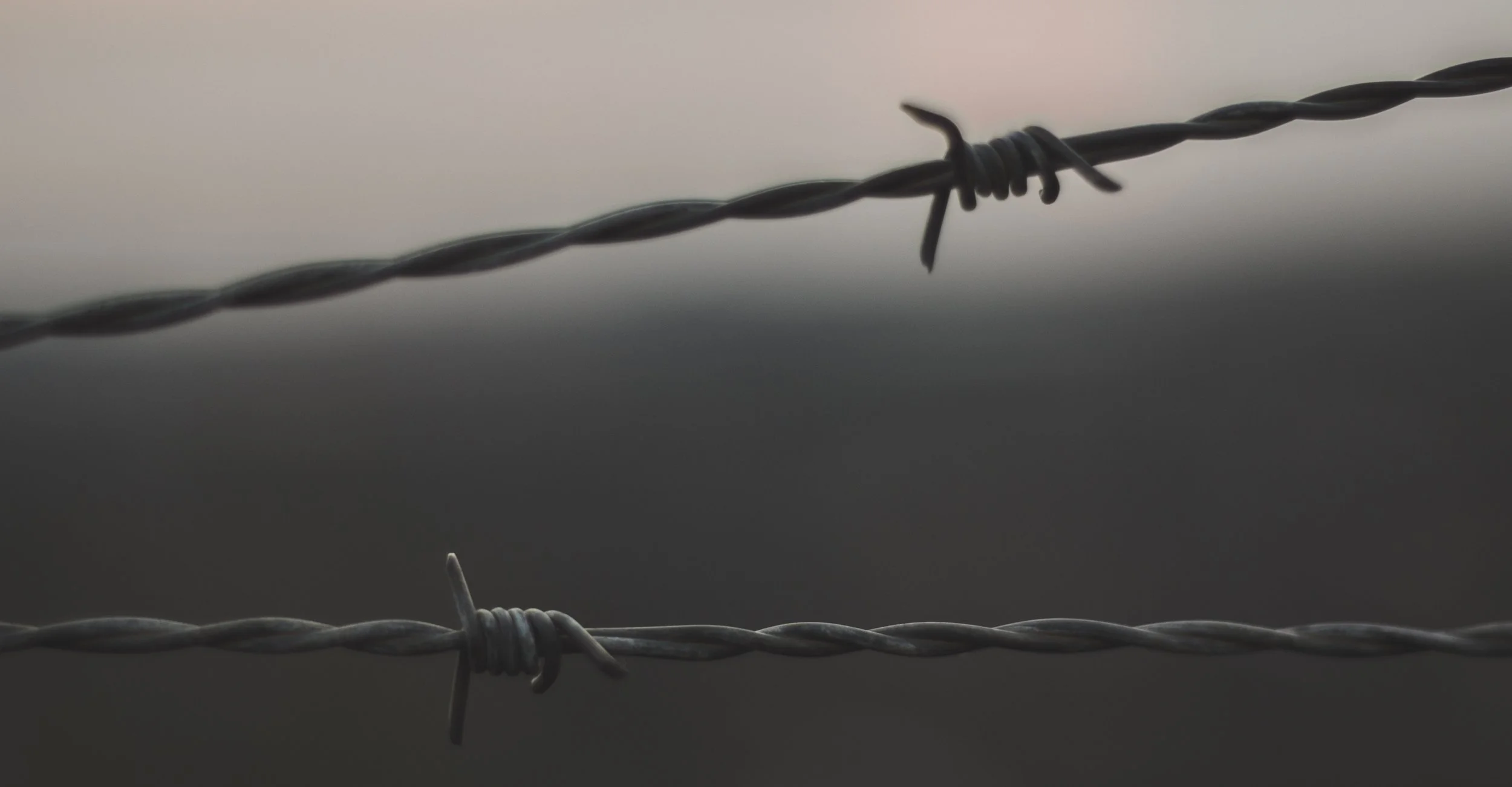 wire.jpg