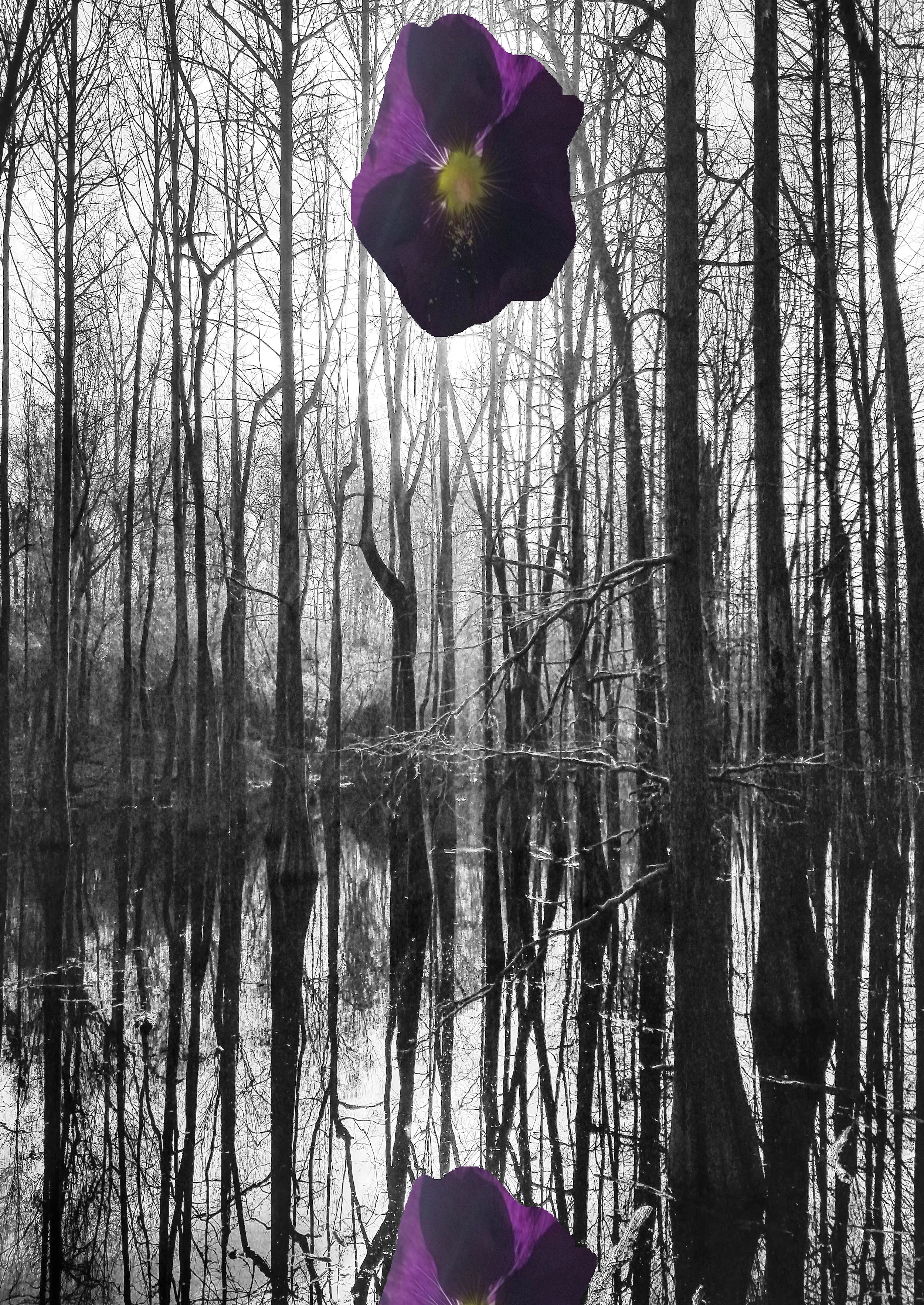 Where our Shadow Lives and Healing Our Shadow