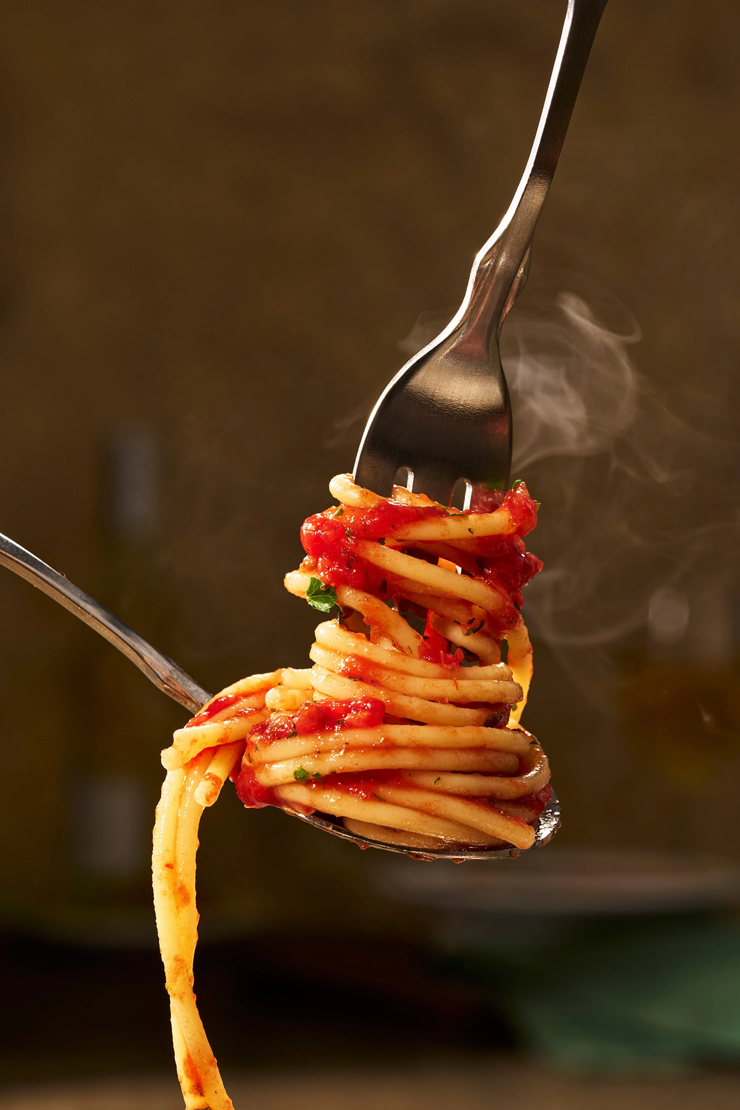 Spaghetti_forktwirl_x5.jpg