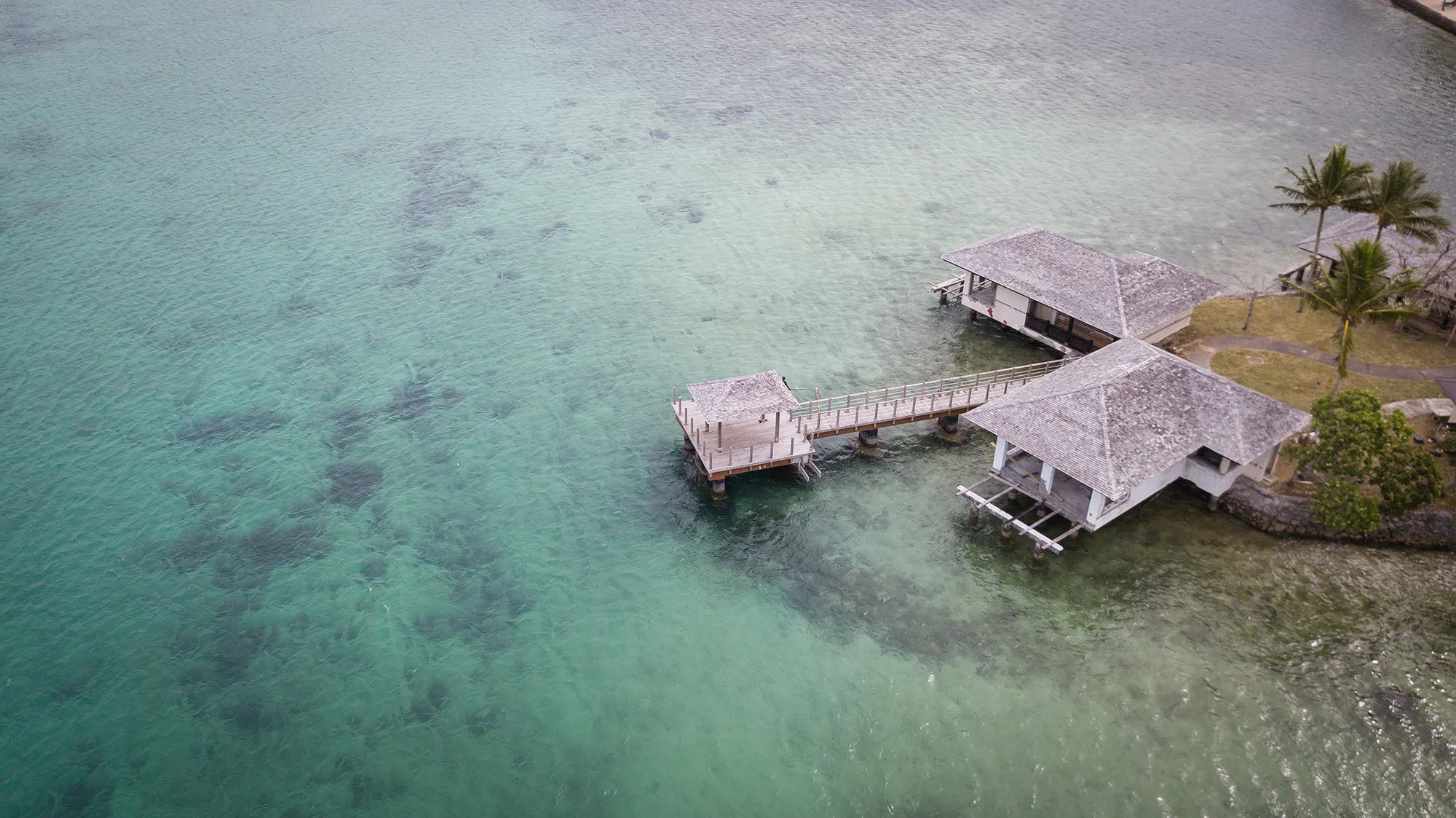 DJI_0590.jpg