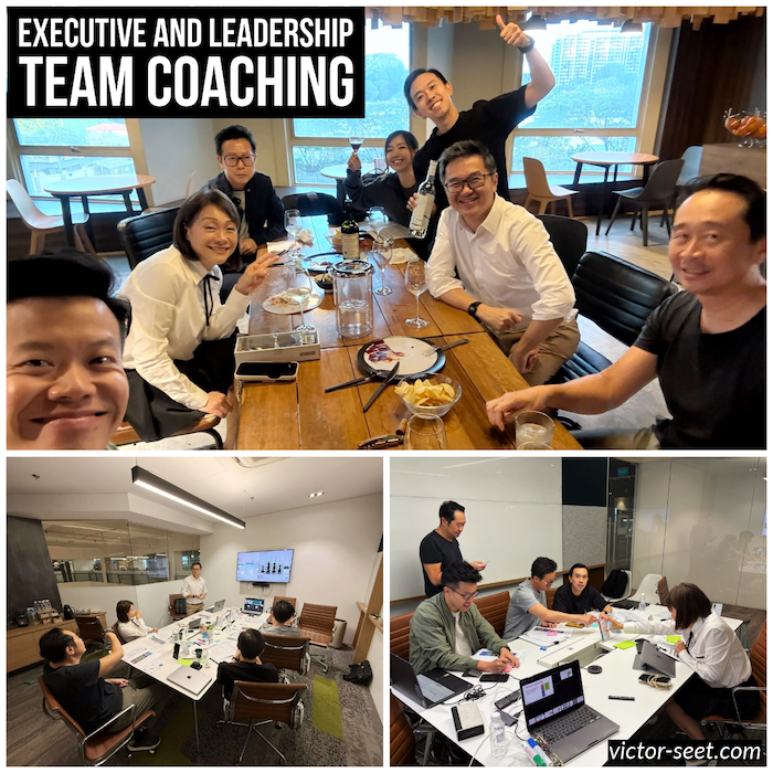 Executive and Leadership Team Coaching - Family Business