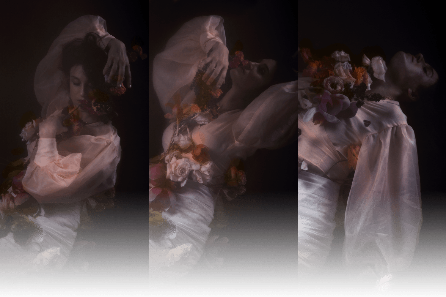header3.png