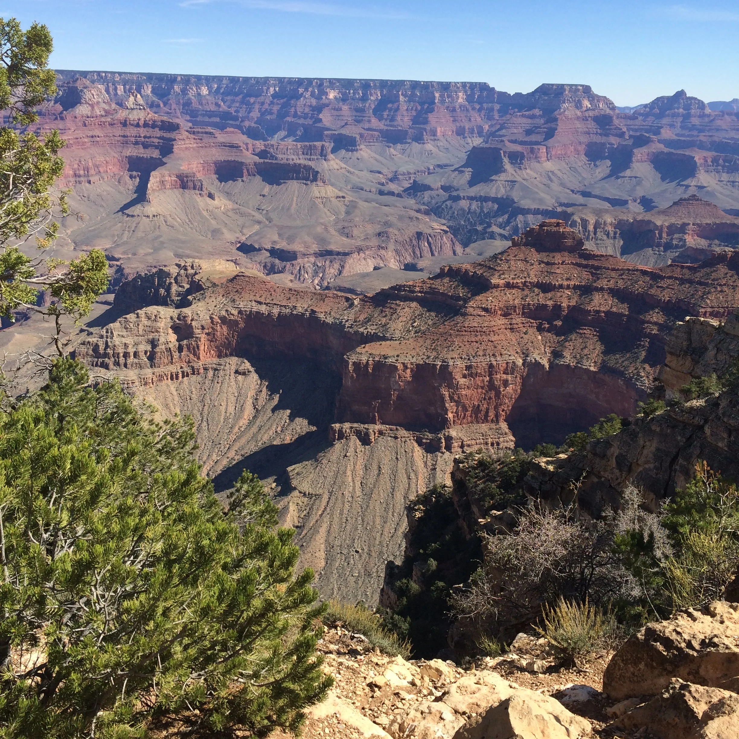 The Grand Canyon 2016