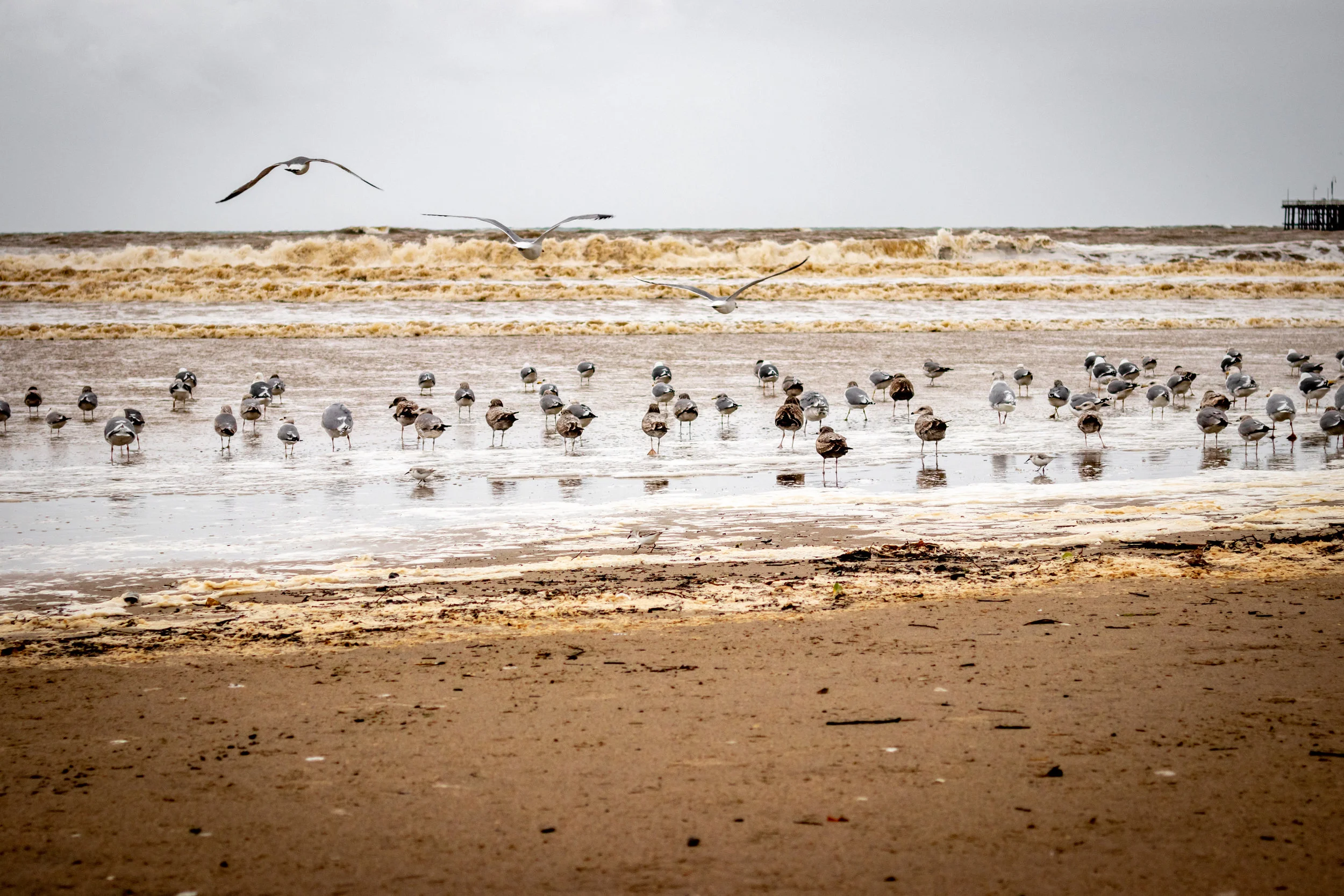 Boardwalk Storm-30.jpg