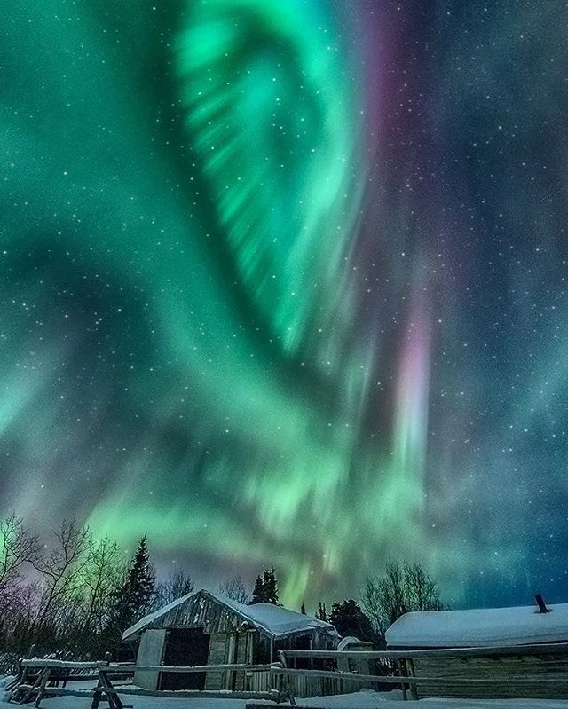 When the sky lights up #beautiful #photoftheday #jonathantucker #landscape #photography #photographer #canada #sky #stars #auroras #northernlights #fullmoon #nikon #nightscape #cabin #cold #nofilter #winter