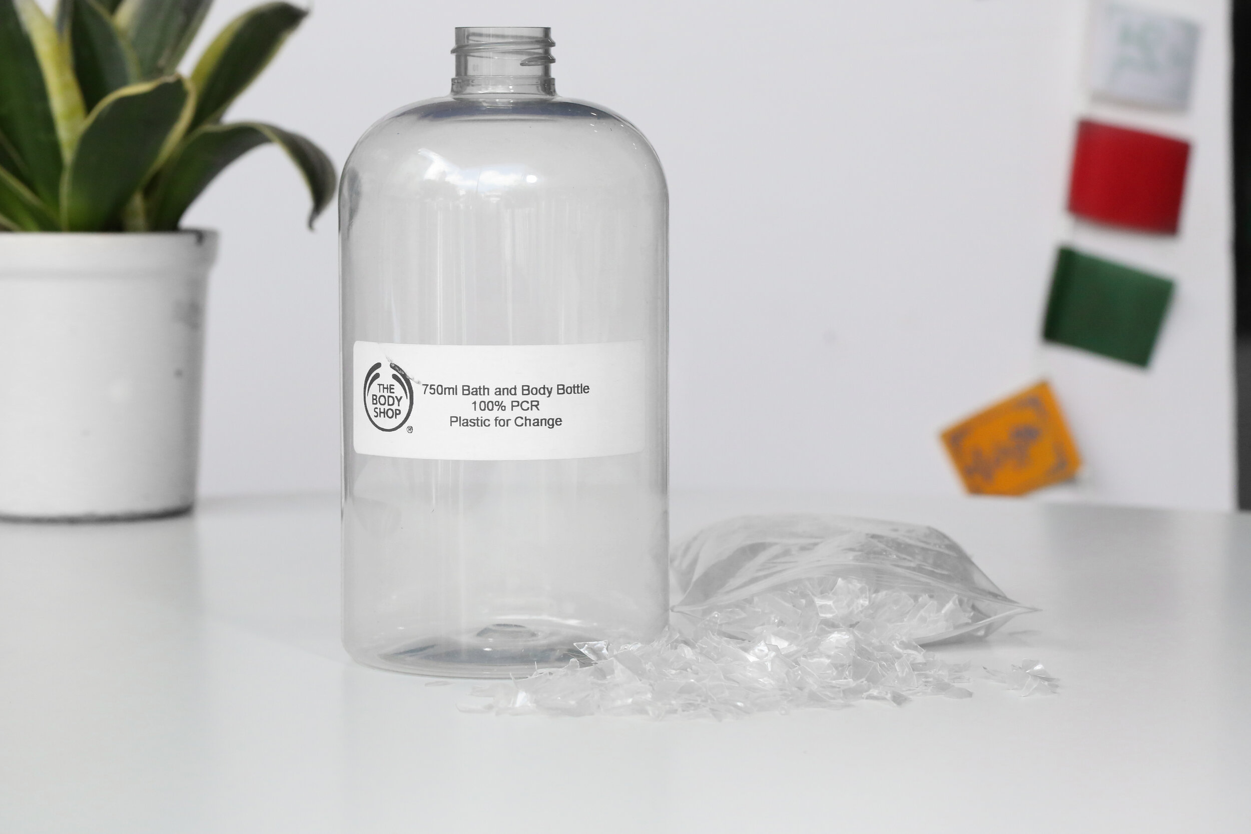 用回收PET制成的洗发水瓶。