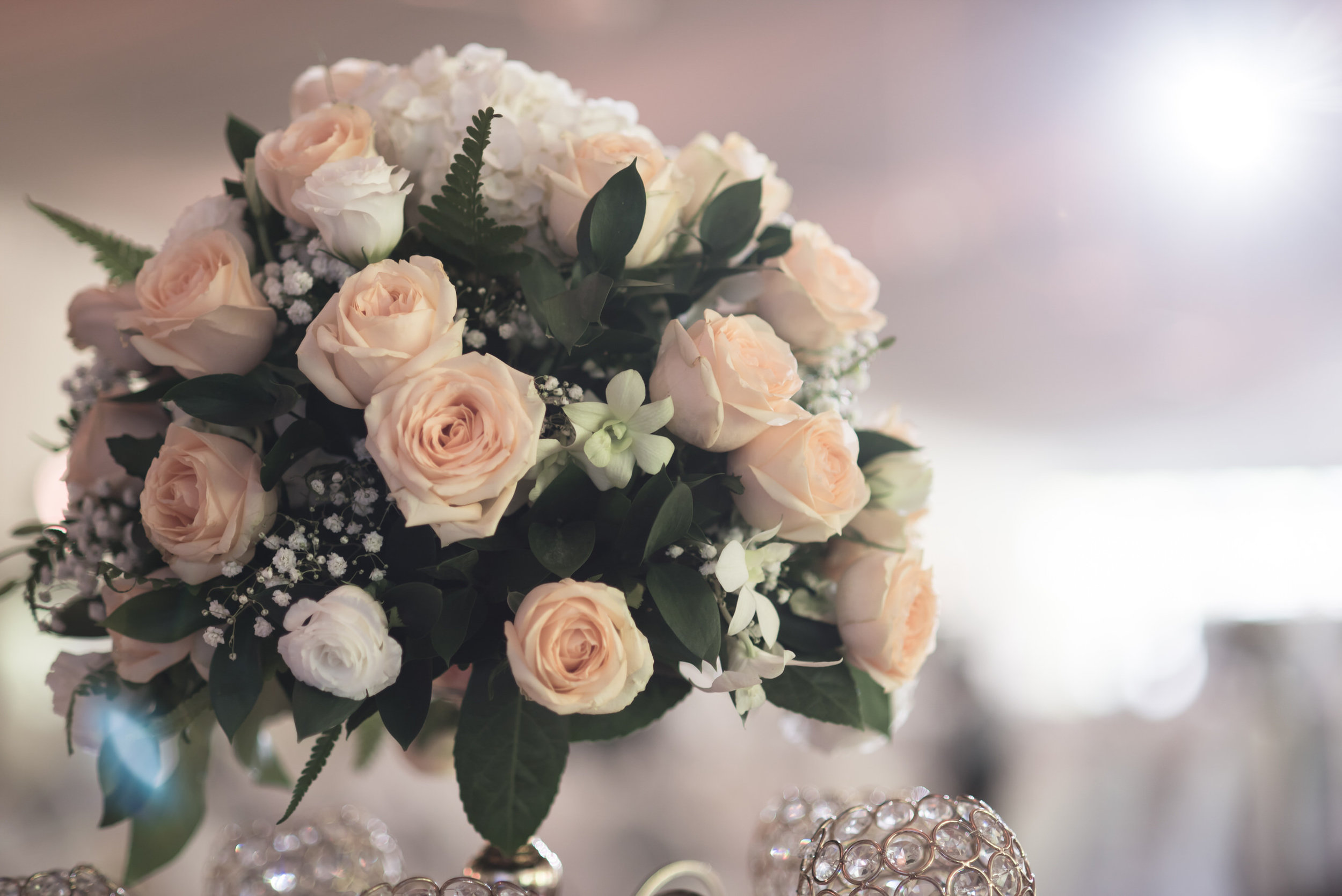 KeeHan&Eileen-256.jpg