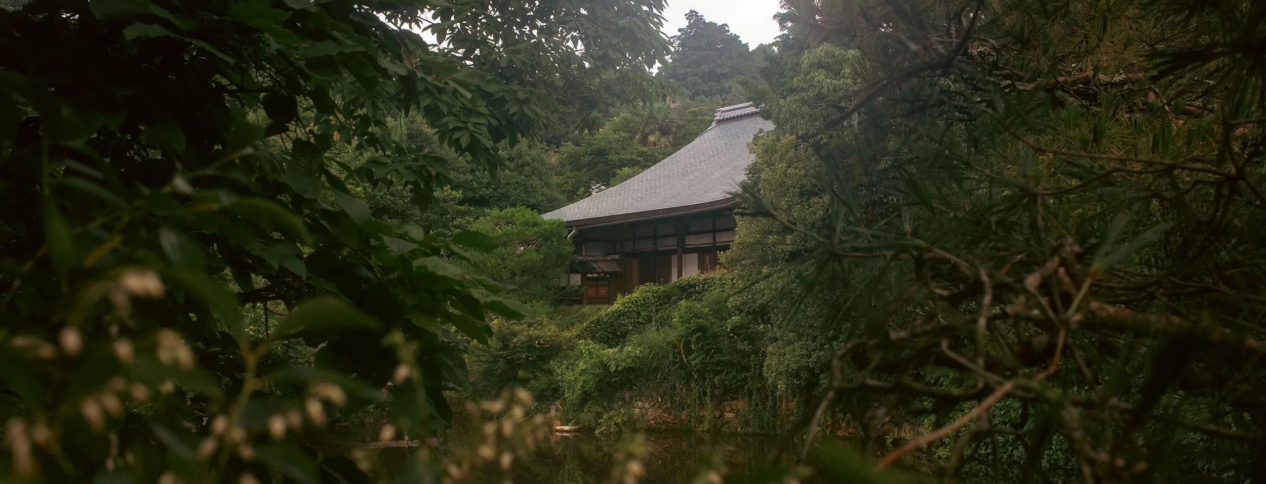 1707_JAPAN_RAW_0295.jpg