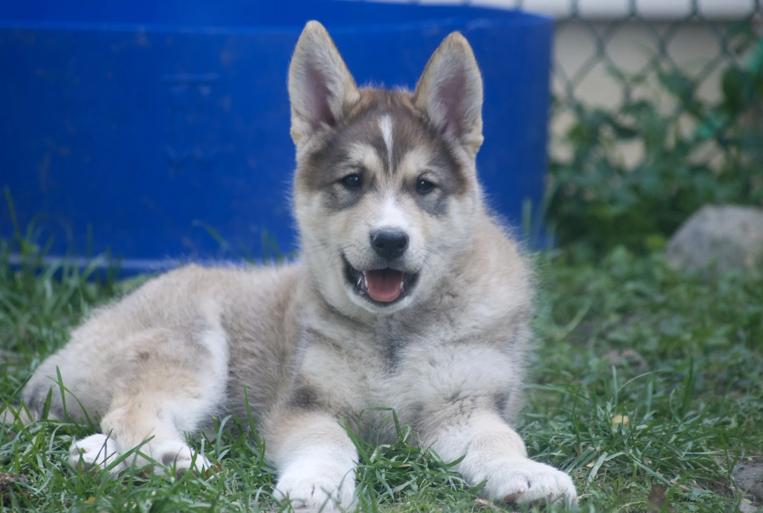 DSC_0070.jpg