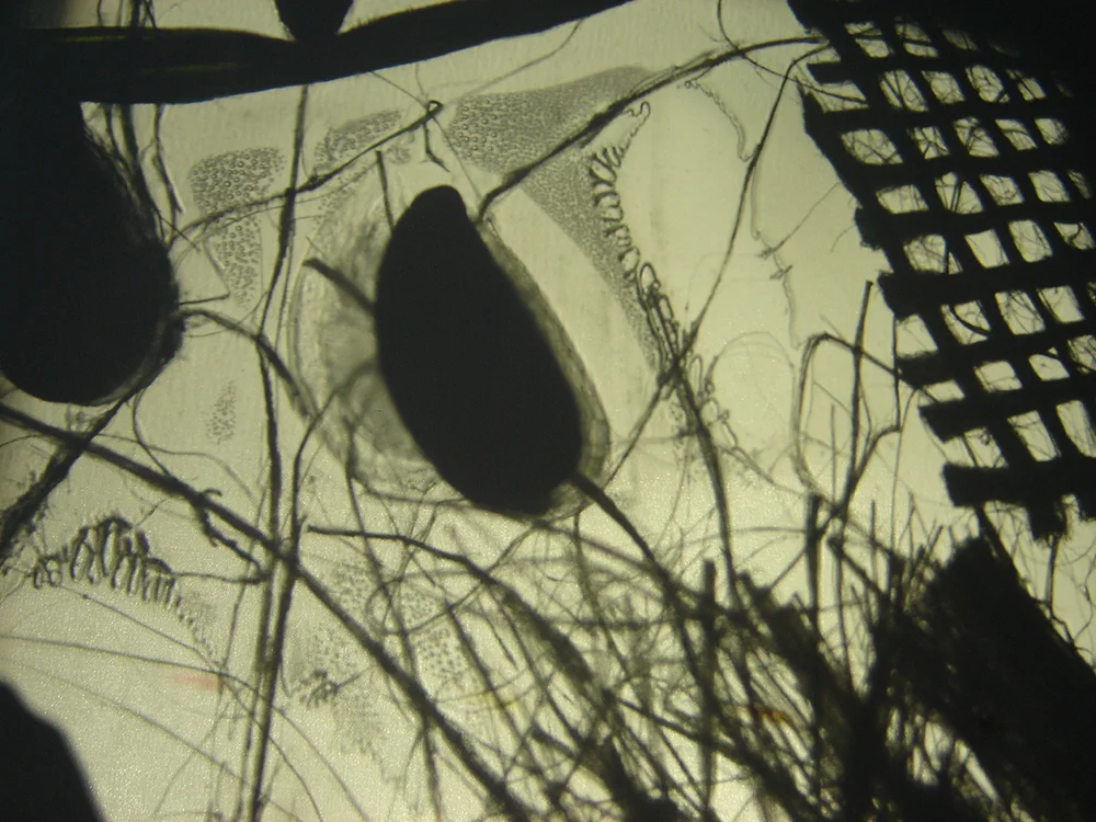 Create_Hand_Made_Slide_Detail.jpg