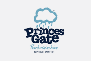 princess-gate.png