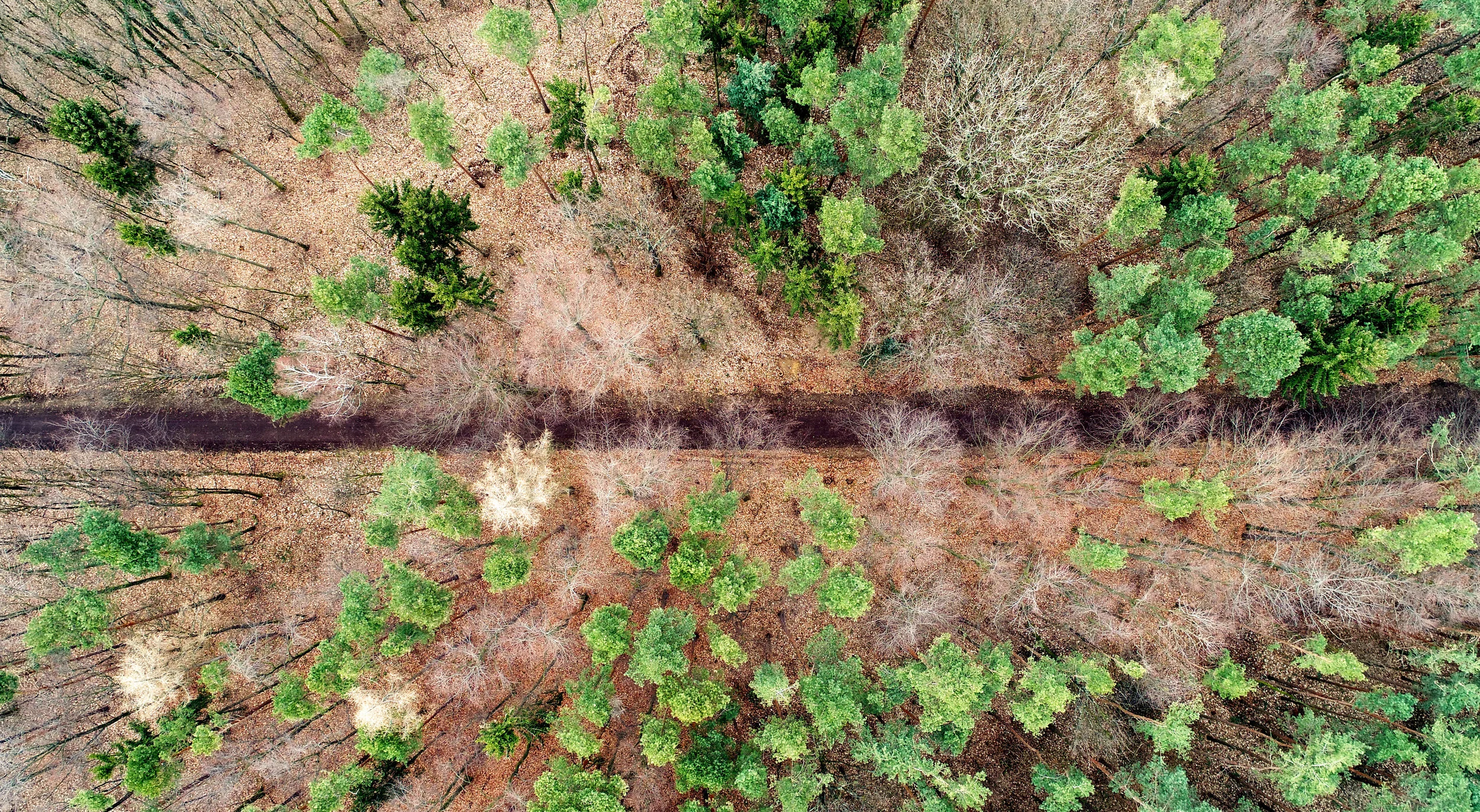 DJI_0057_11032017_Mod_mini.jpg