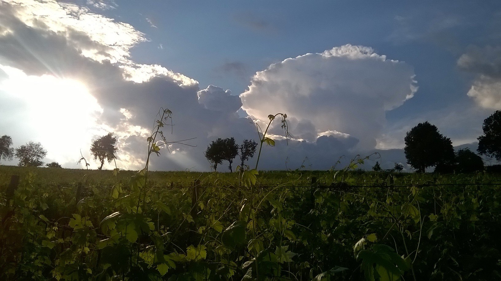 Estate e nuvole #8.jpg