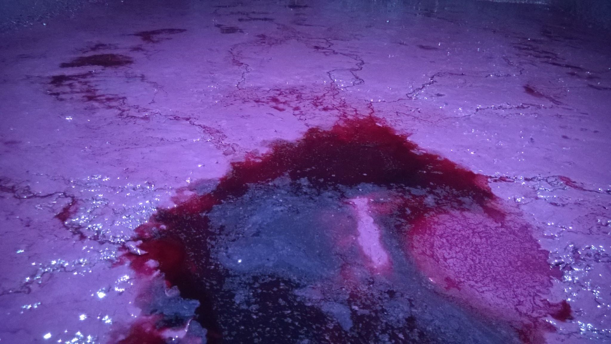 Fermenting must