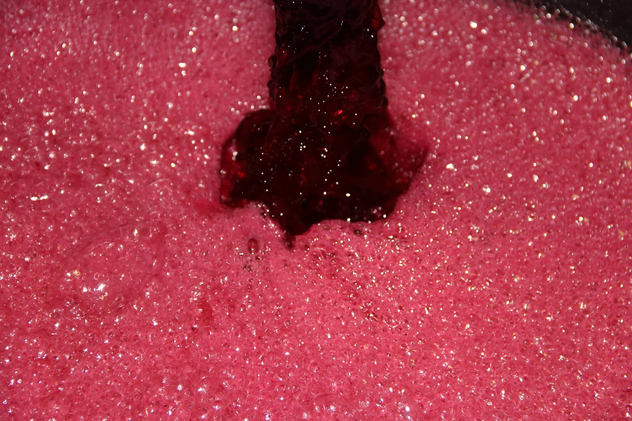 Barbera del Monferrato.jpg