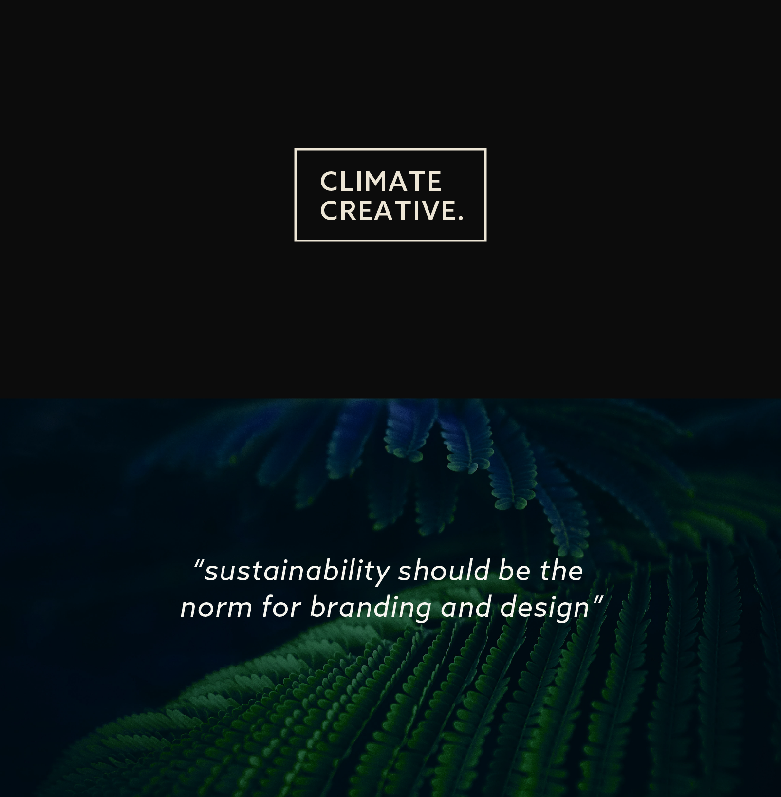 CC_NEW-NEW-NEW.png