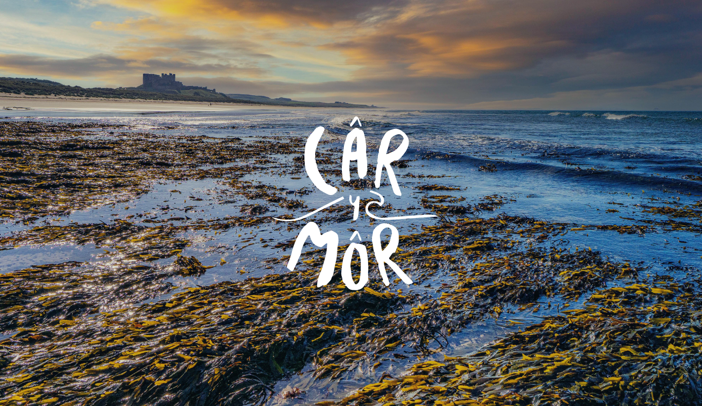 Car-y-mor_Seaweed-beach.png