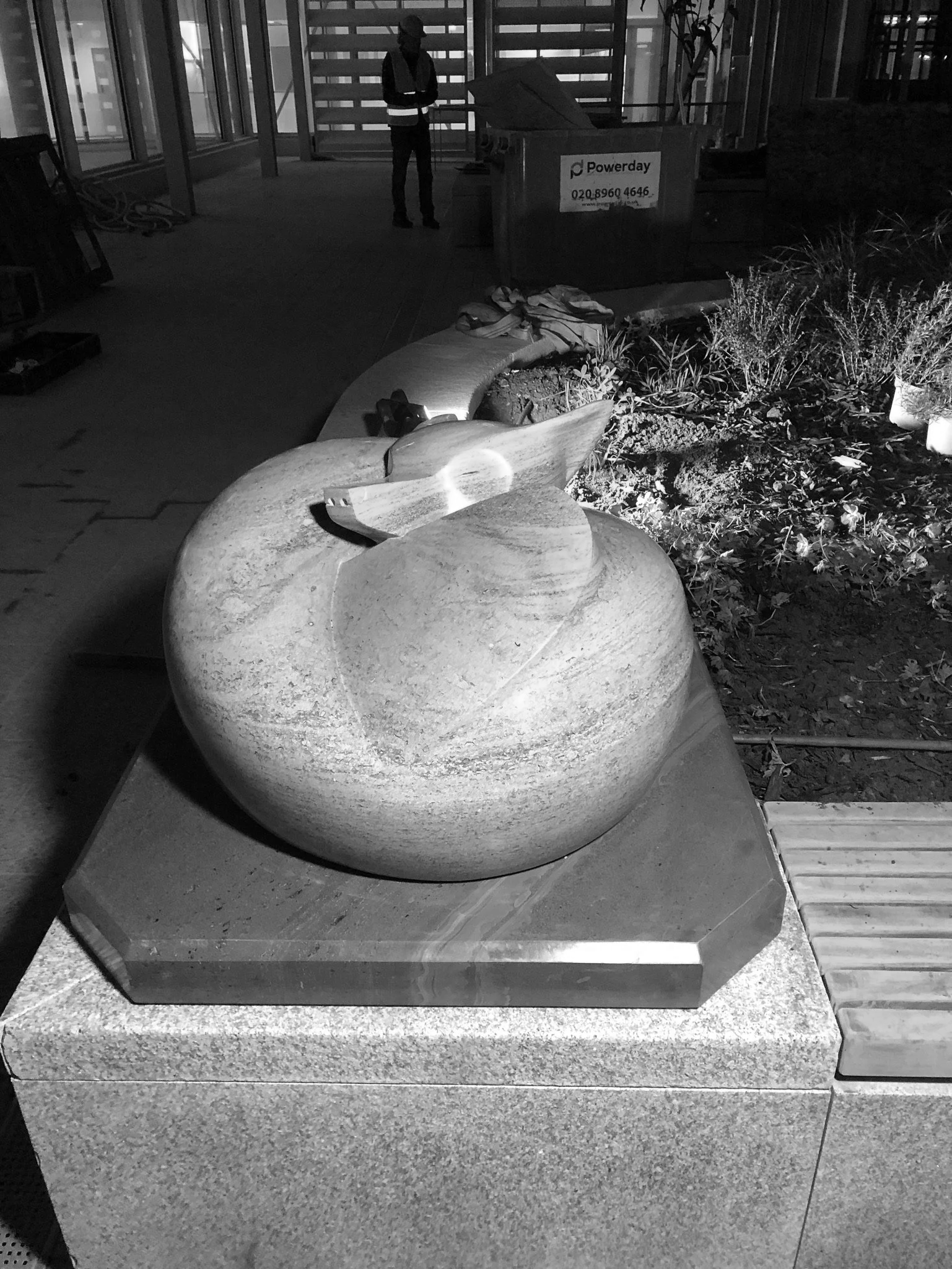 Apothecary’s Garden 2020