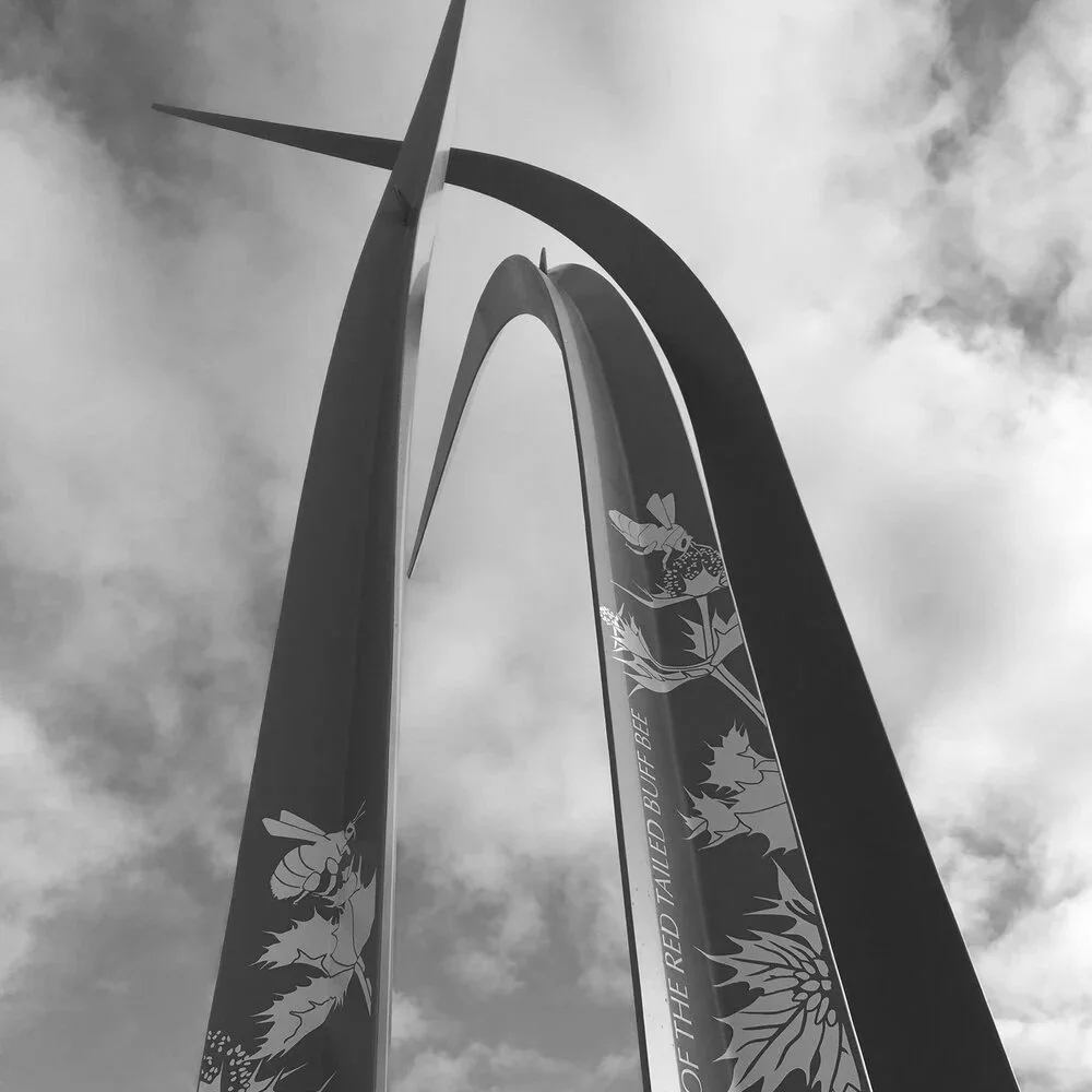 Larkholme Grasslands 2019