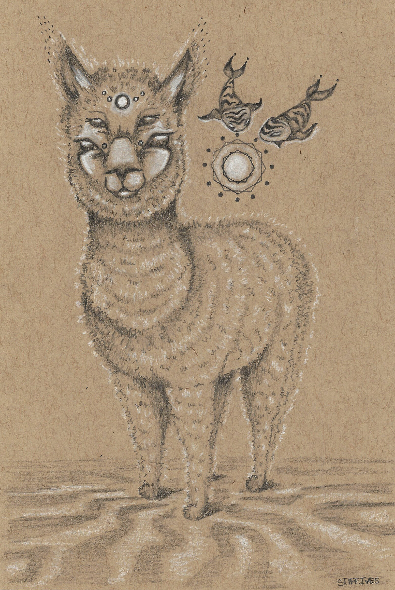 "  Llama Expression " 