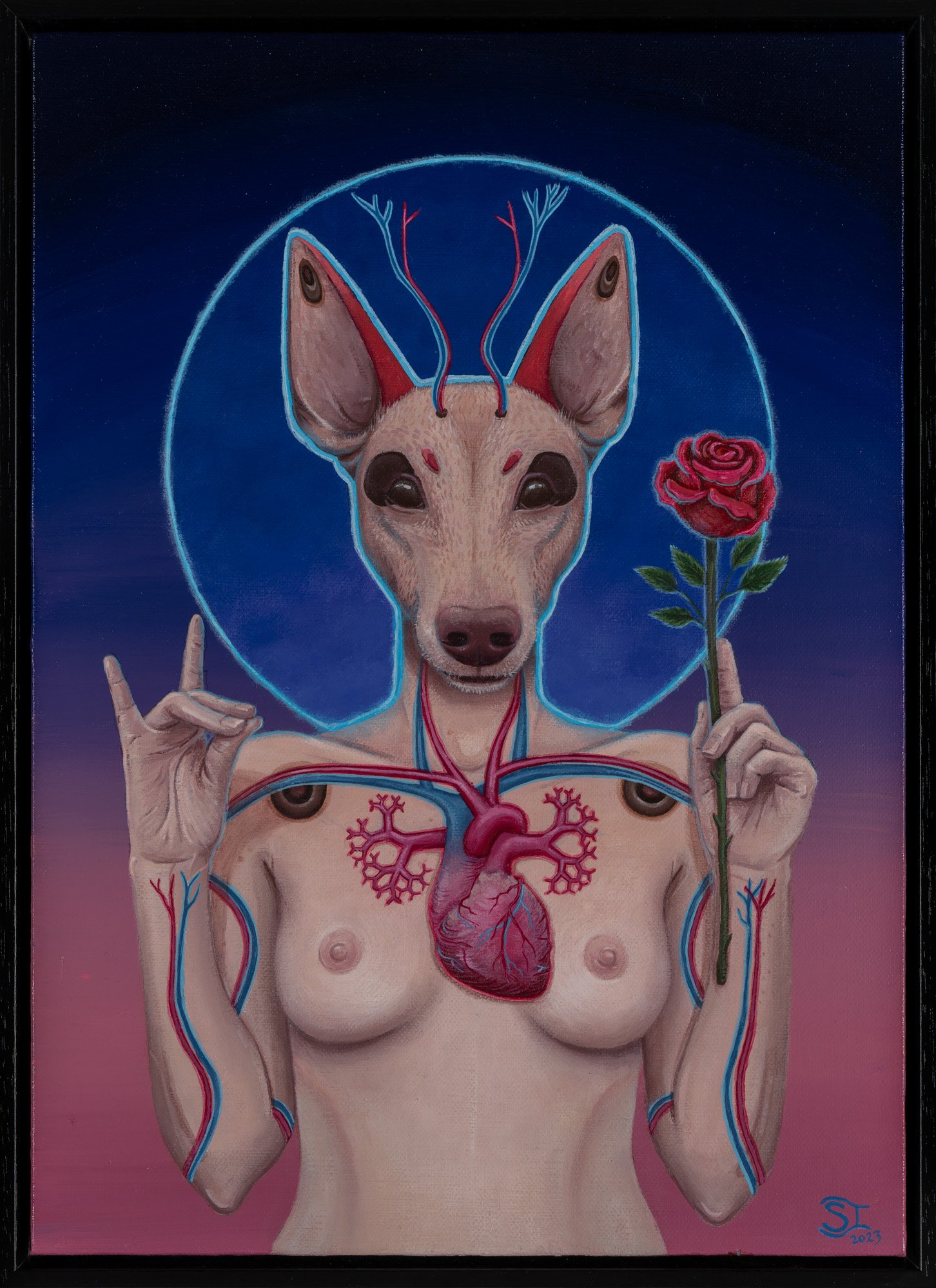 " Vena Cava "