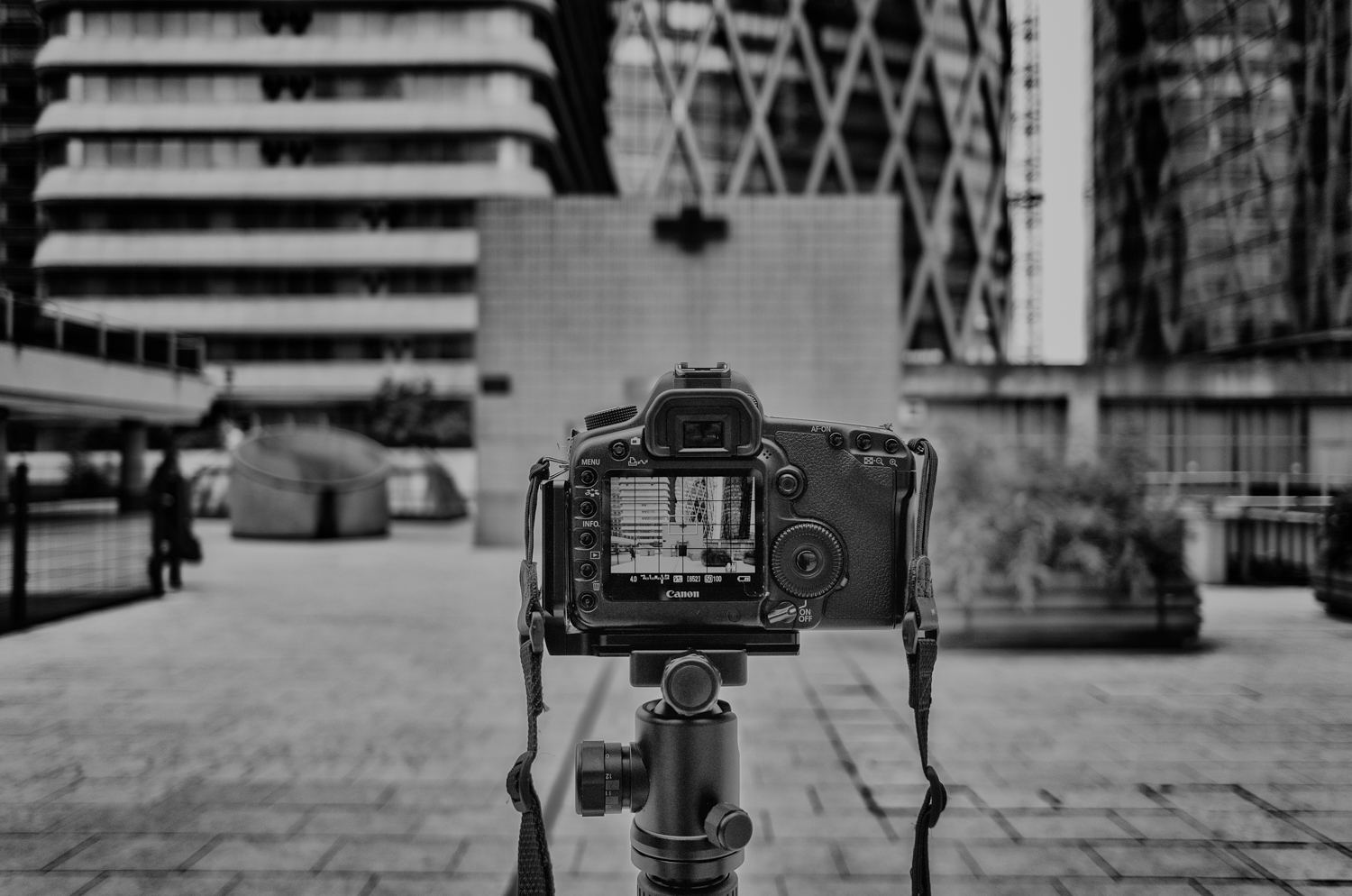 _DSC1236-Modifier.jpg