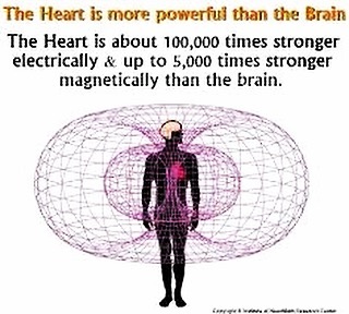 The human heart❣ 💓 has recently come to be documented and studied as the strongest strong 💪🏻 organ in the human body regarding generation of electric⚡️ and magnetic fields.

The crucial relevance of such discovery is due the fact that until recent