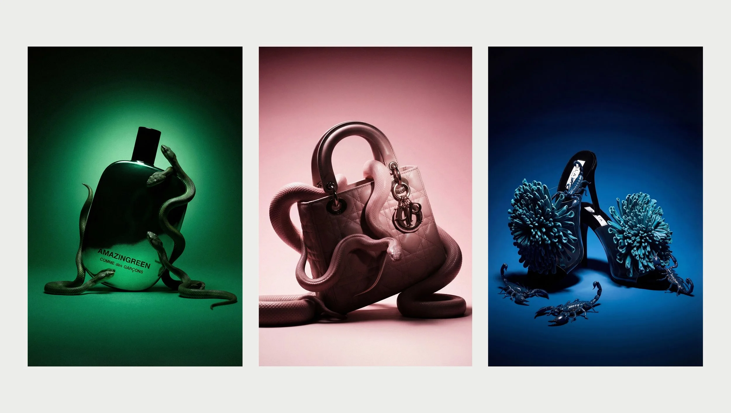 3xVisuals copy_2.jpg