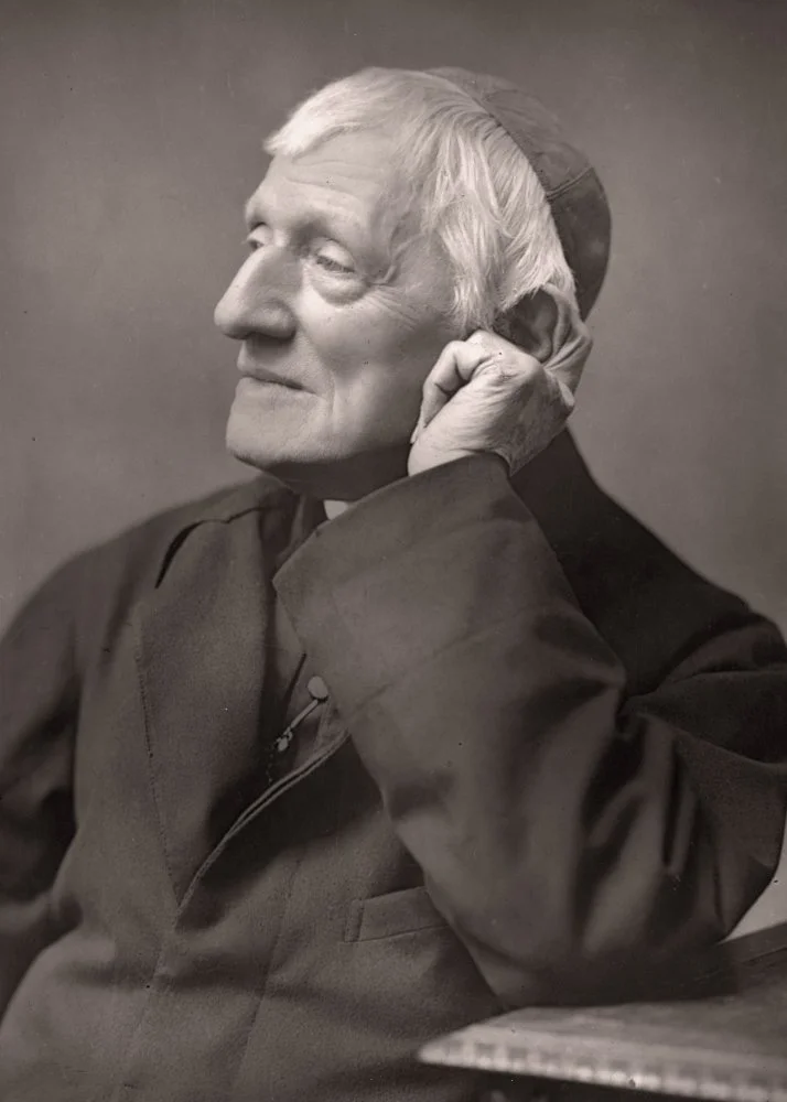 cardinal_custom-7b77f77fe5e946c25d095b8e2d888c4b178f1e1b-s800-c85.jpg