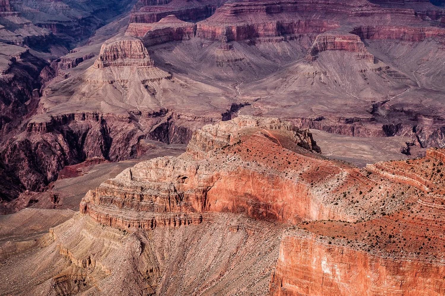 crw_0997-Edit.jpg