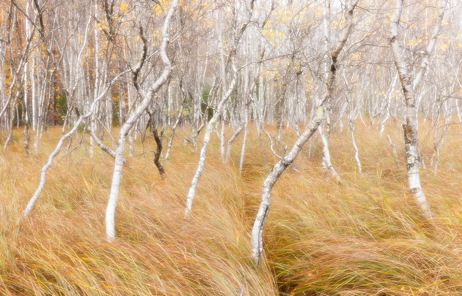 20131020_acadia_0210-Edit-Edit.jpg