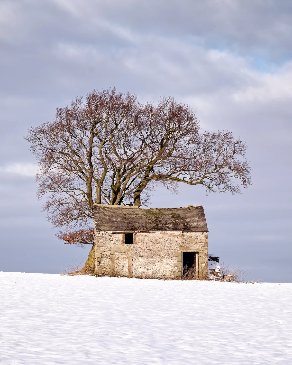 20141230_CU_0152-Edit-Edit.jpg