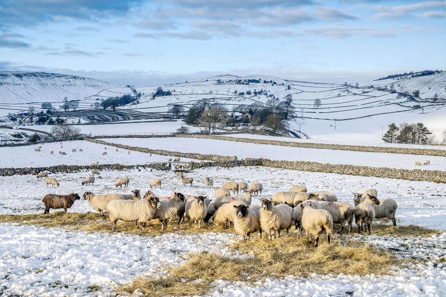 20141230_derbys_0188-Edit-2.jpg