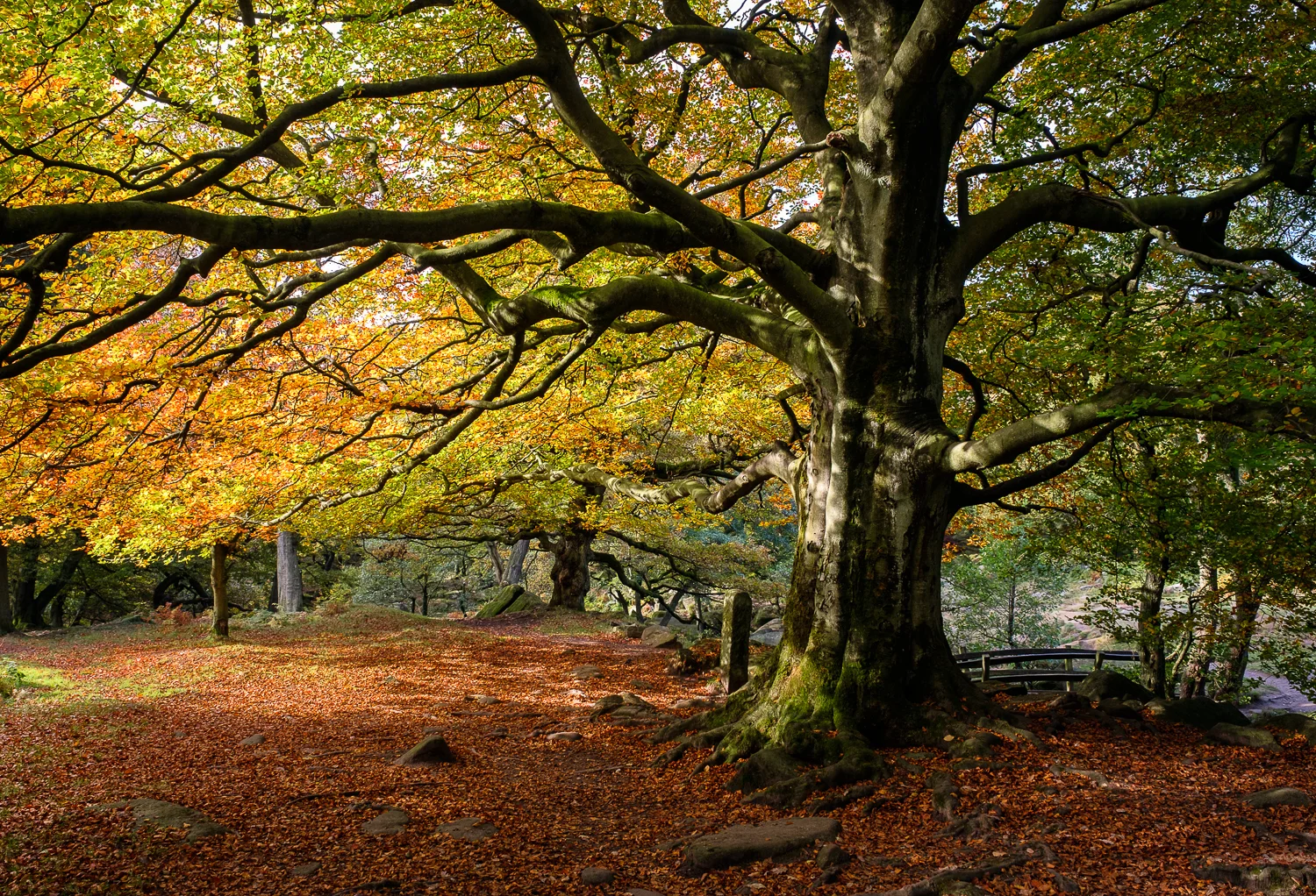 20161025_derbys_0097-Edit.jpg
