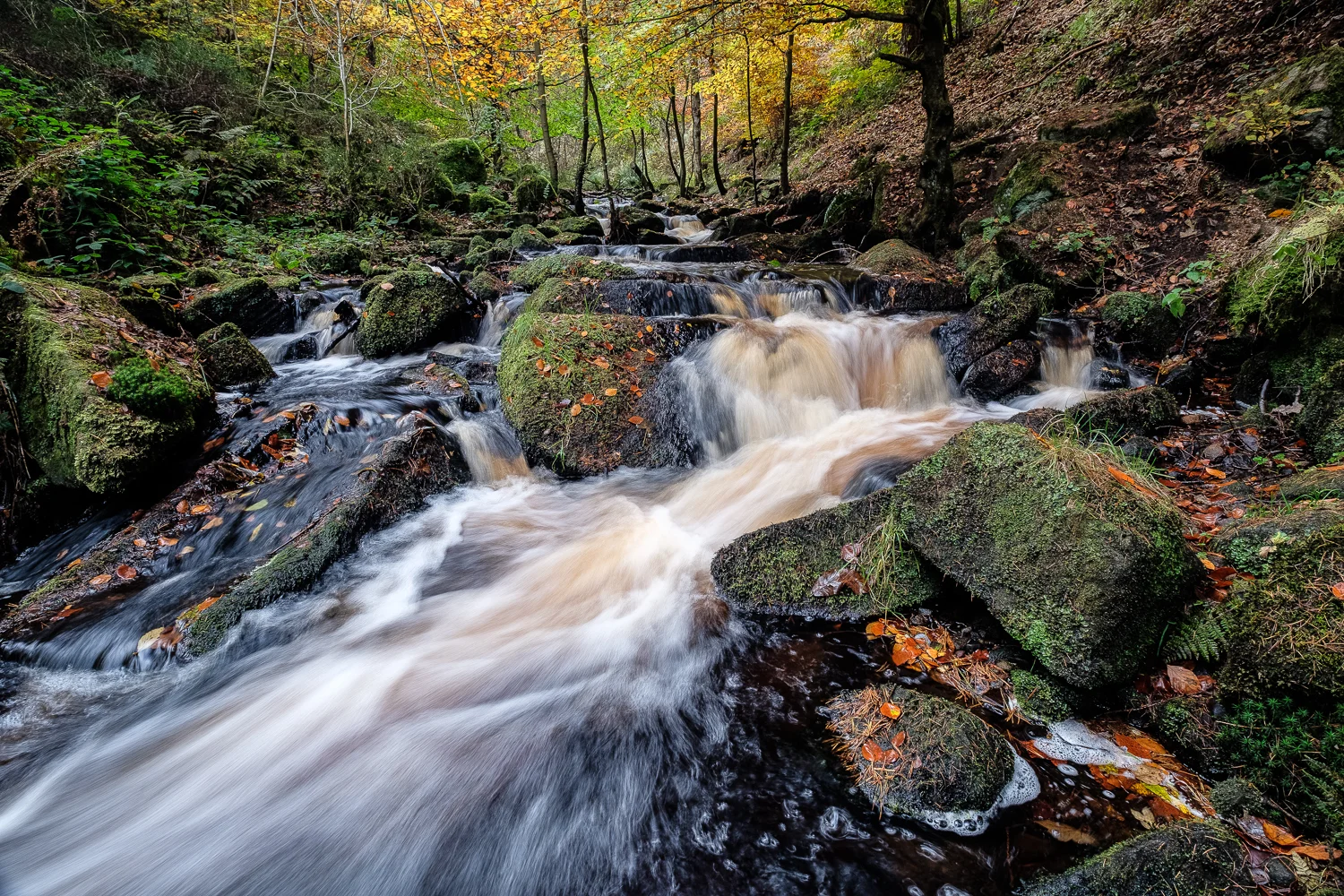 20161031_derbys_0034.jpg